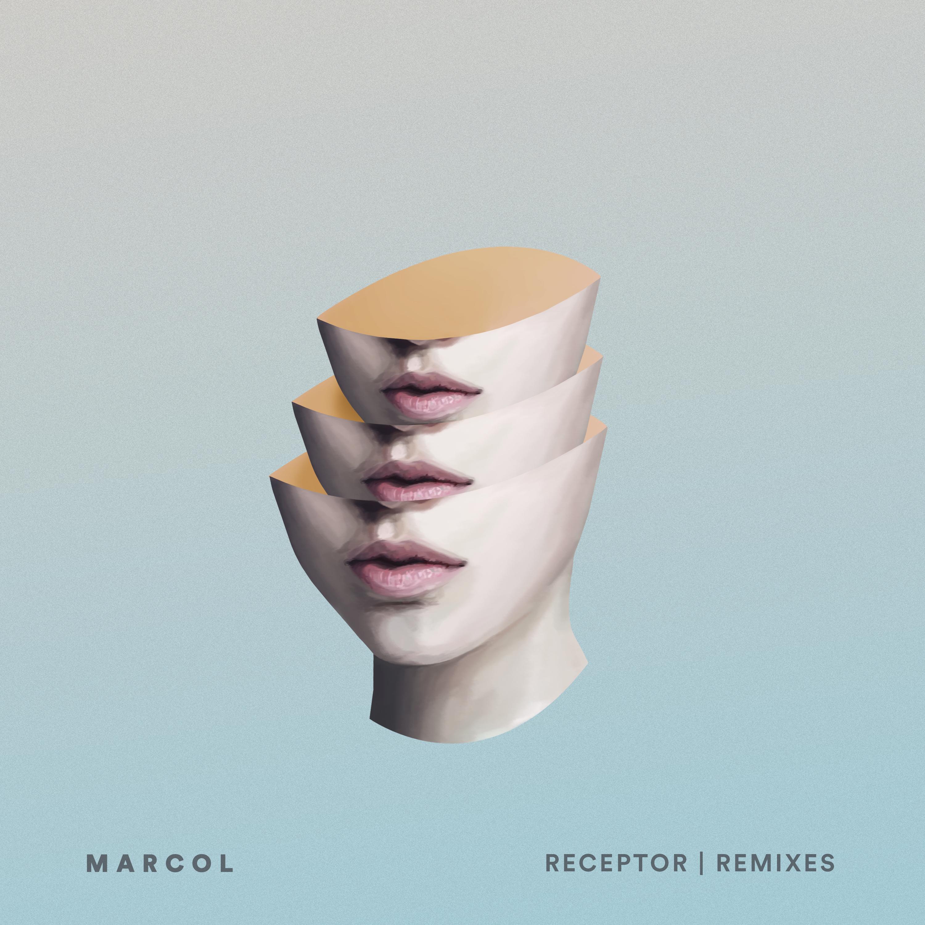 Receptor Remixes