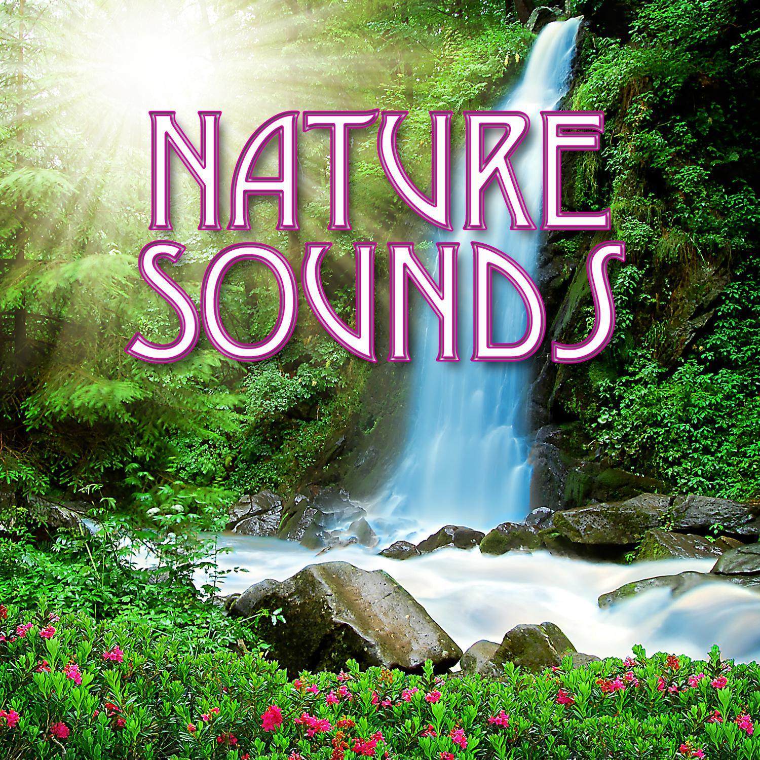 Nature Sounds