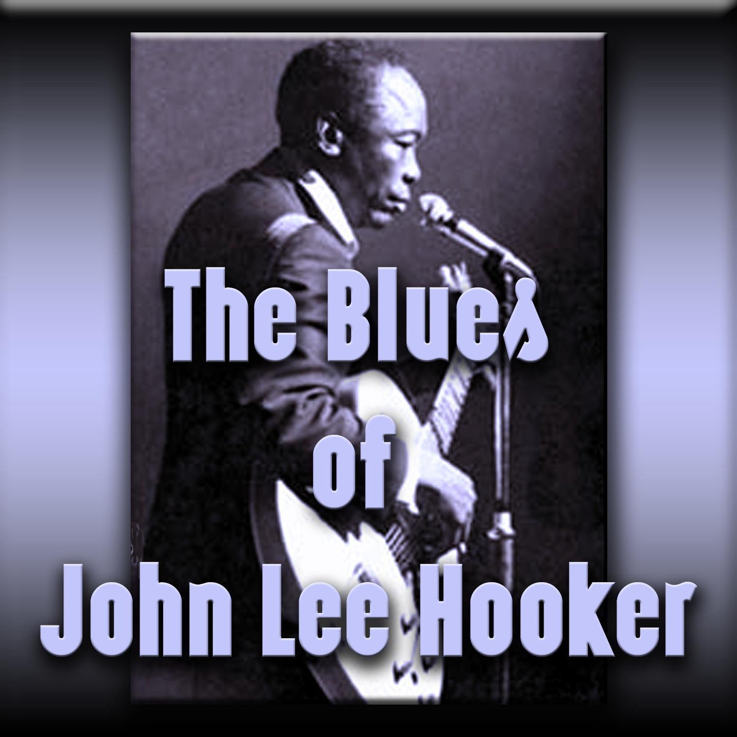 The Blues of John Lee Hooker