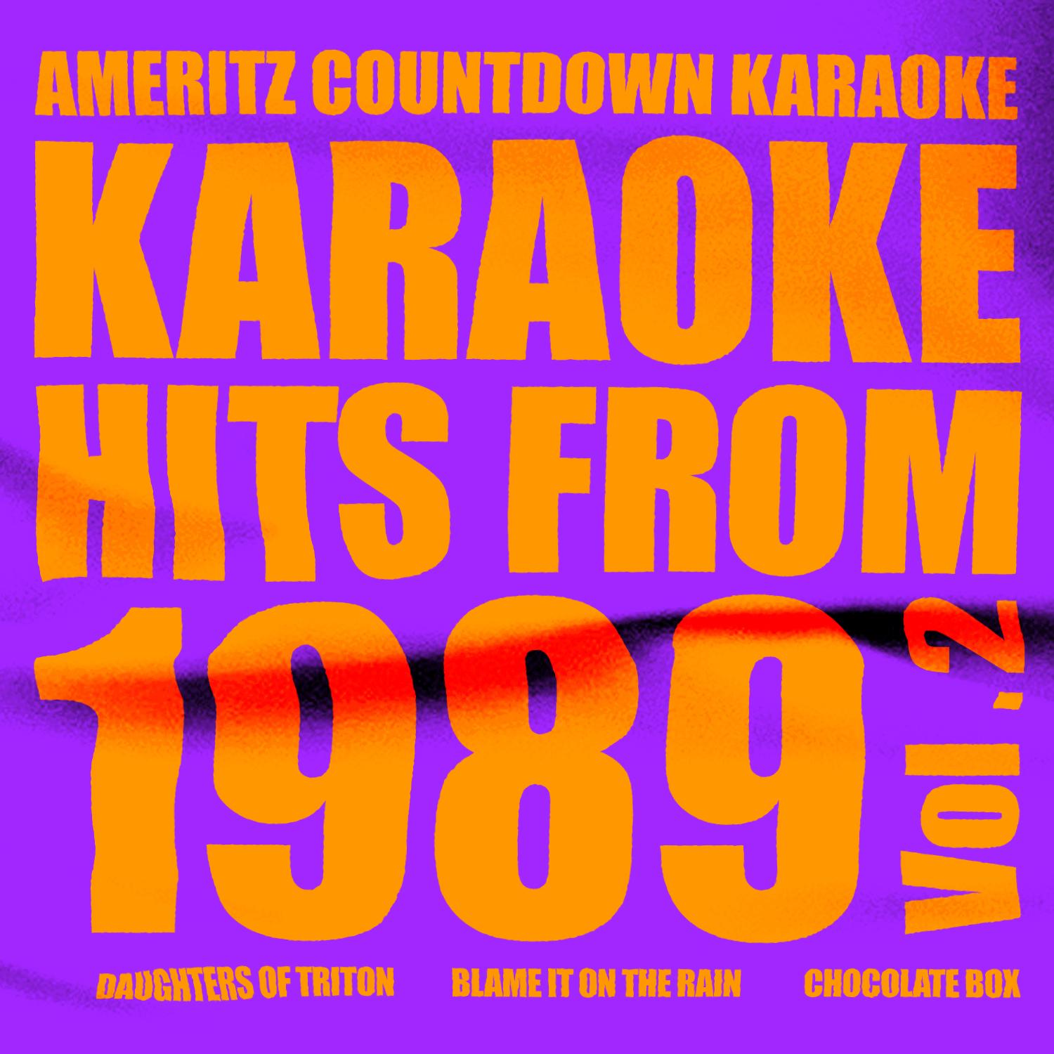 Karaoke Hits from 1989, Vol. 2