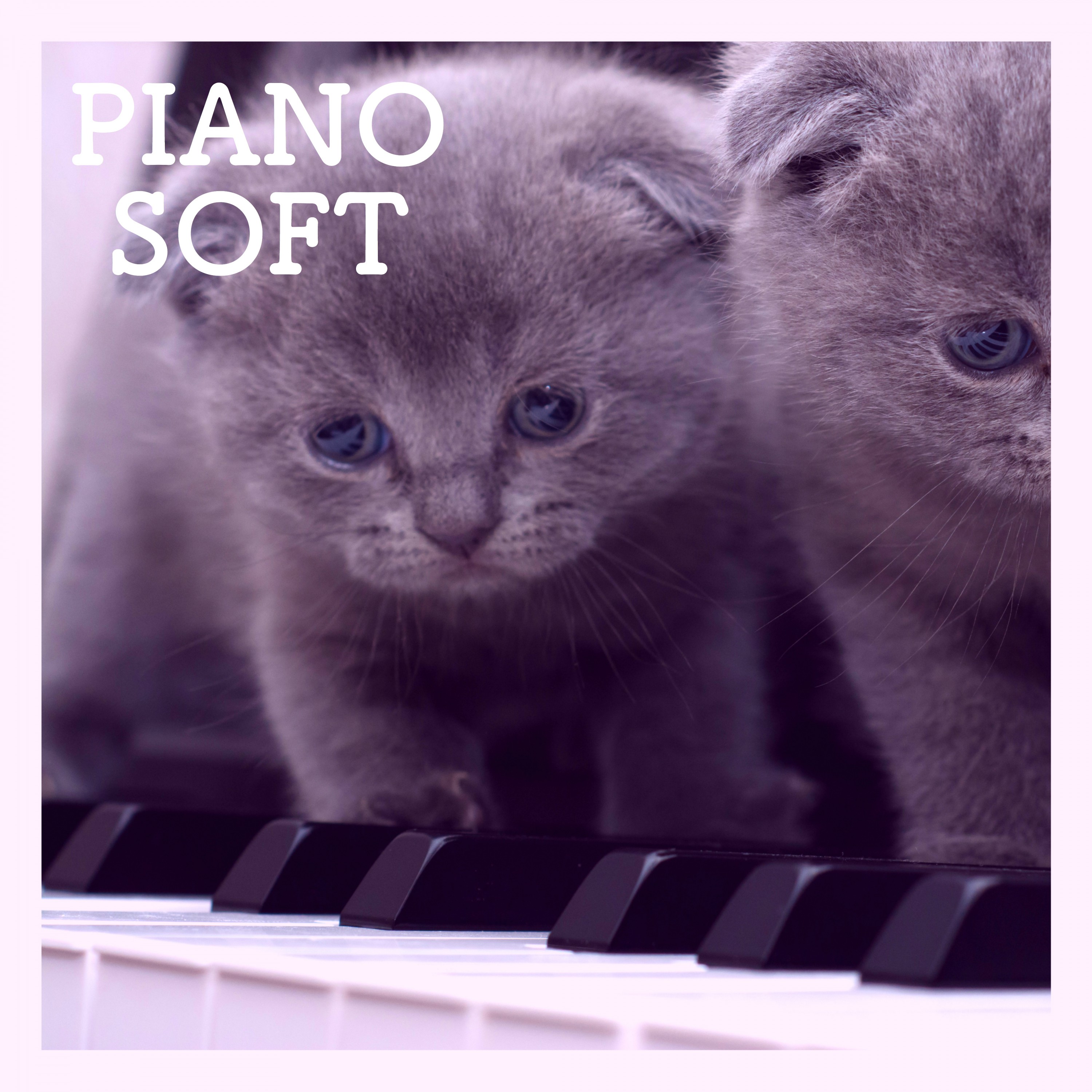 Soft Piano for Relaxation, Study, Sleep, Zen, Yoga, Meditation, Harmony, Serenity