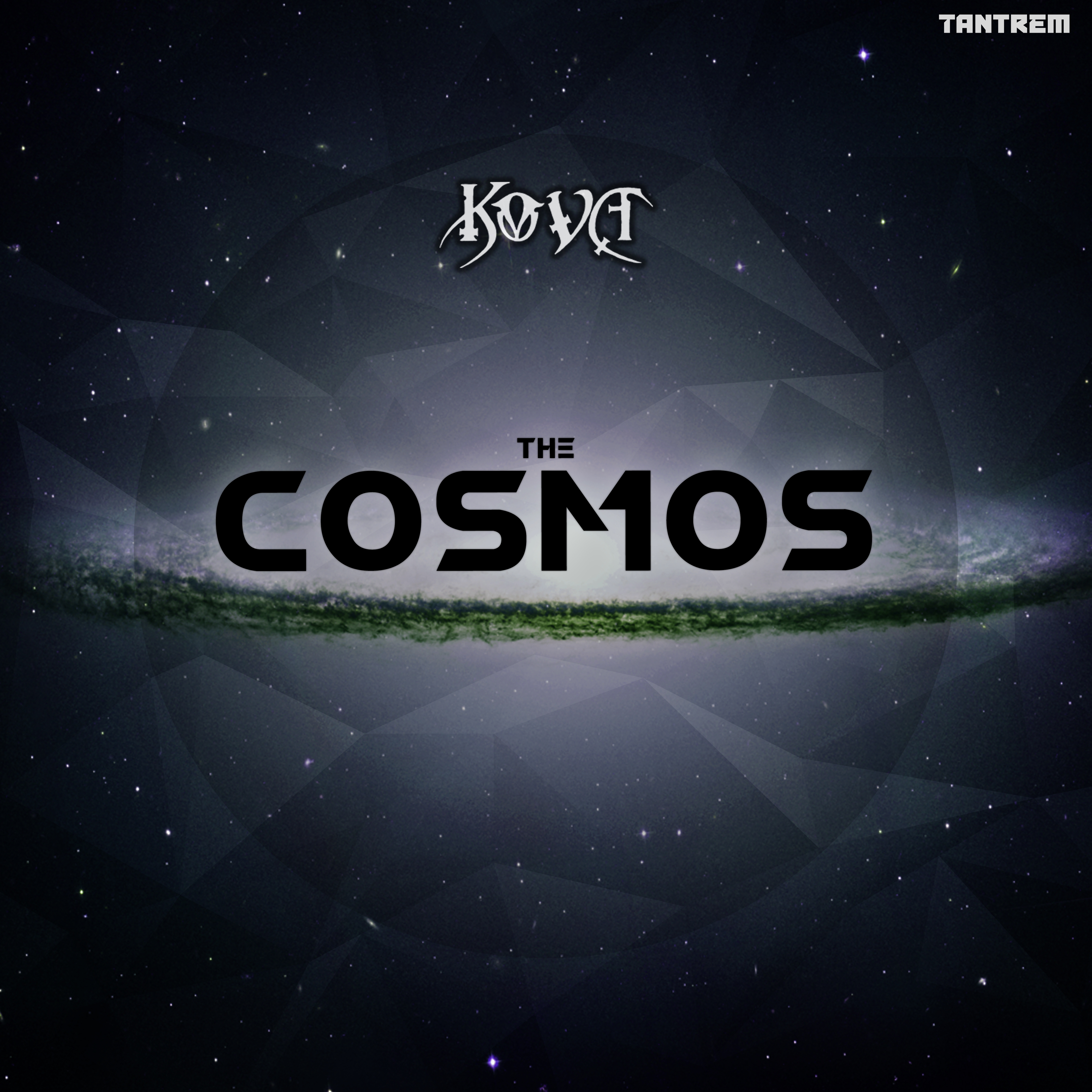 The Cosmos