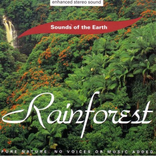 Rainforest: Stillness