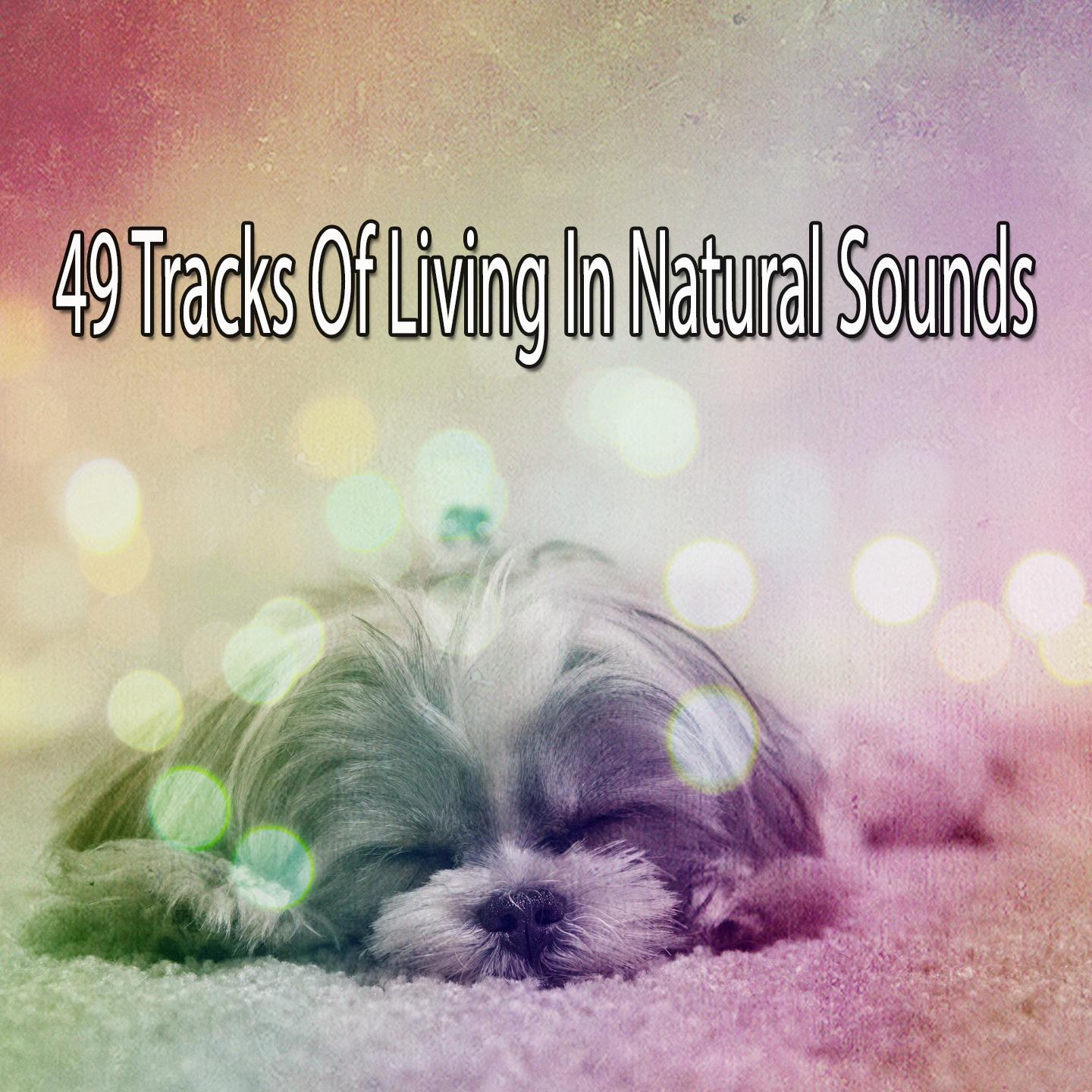 49 Tracks Of Living In Natural Sounds
