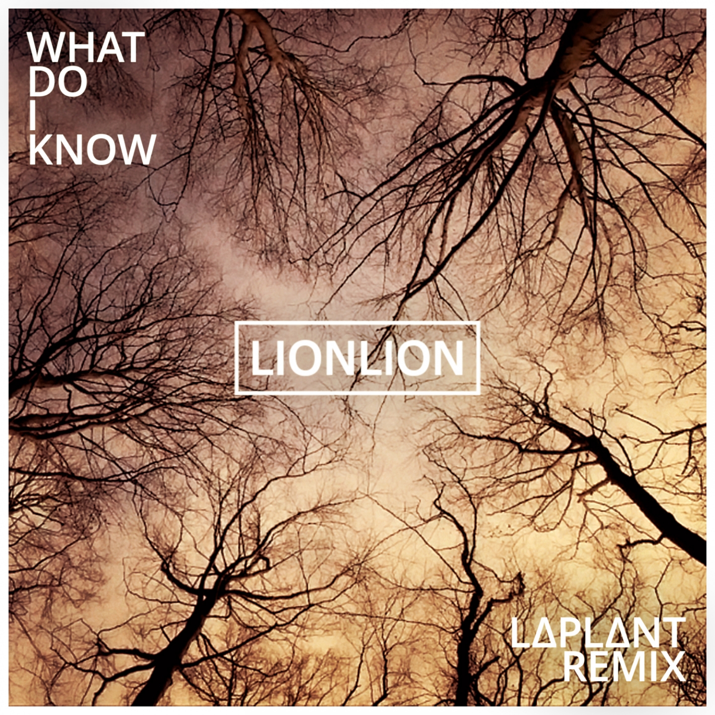 What Do I Know L Pl Nt Remix