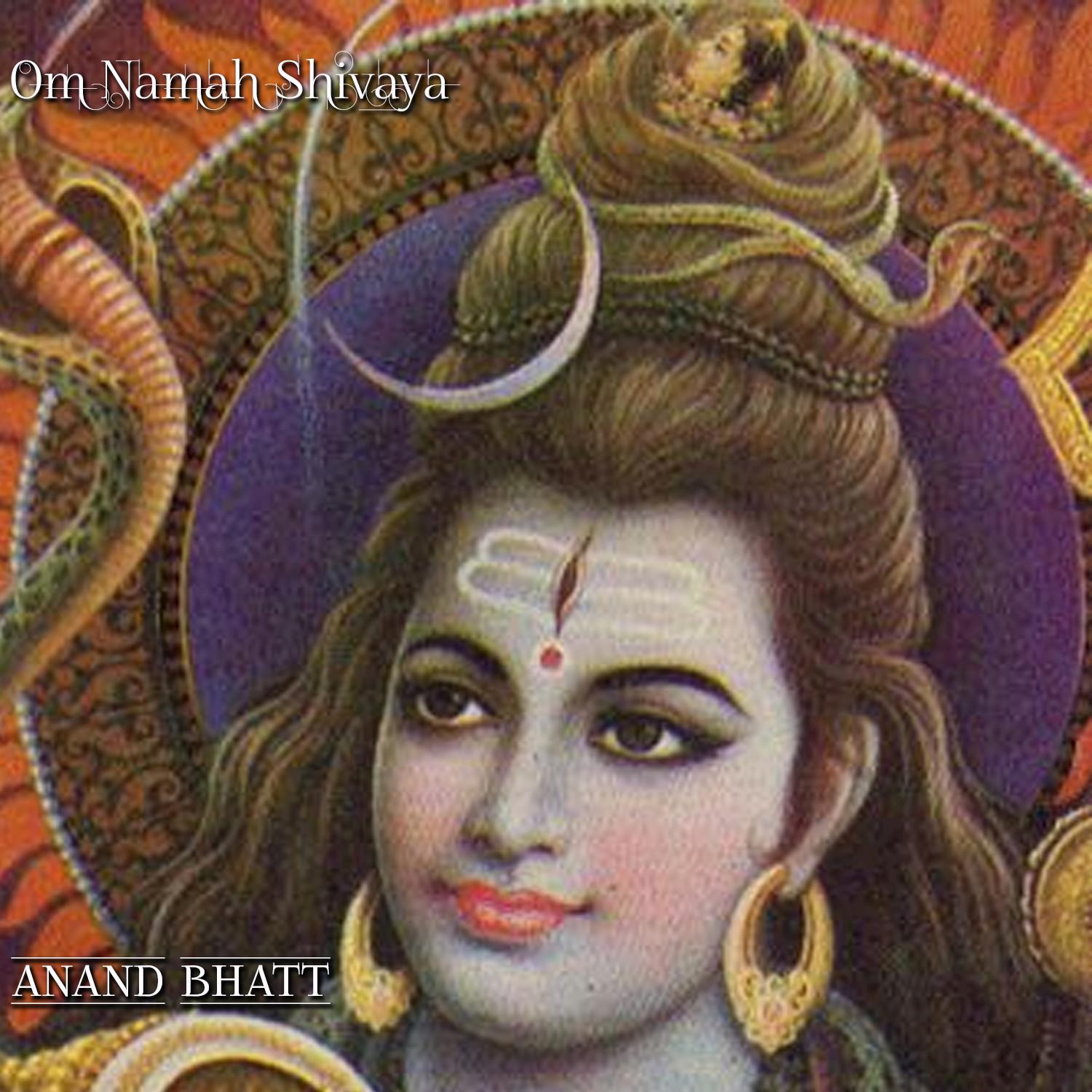 Om Namah Shivaya