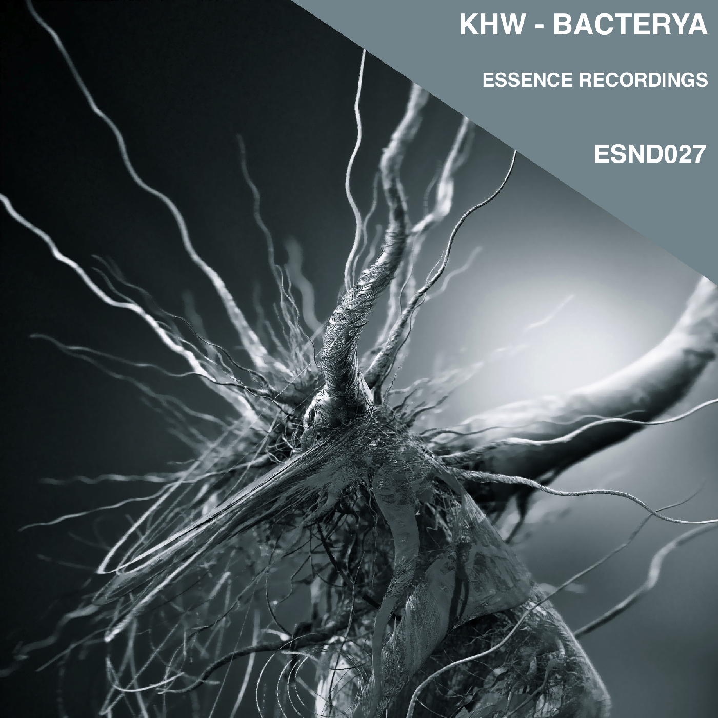 Bacterya
