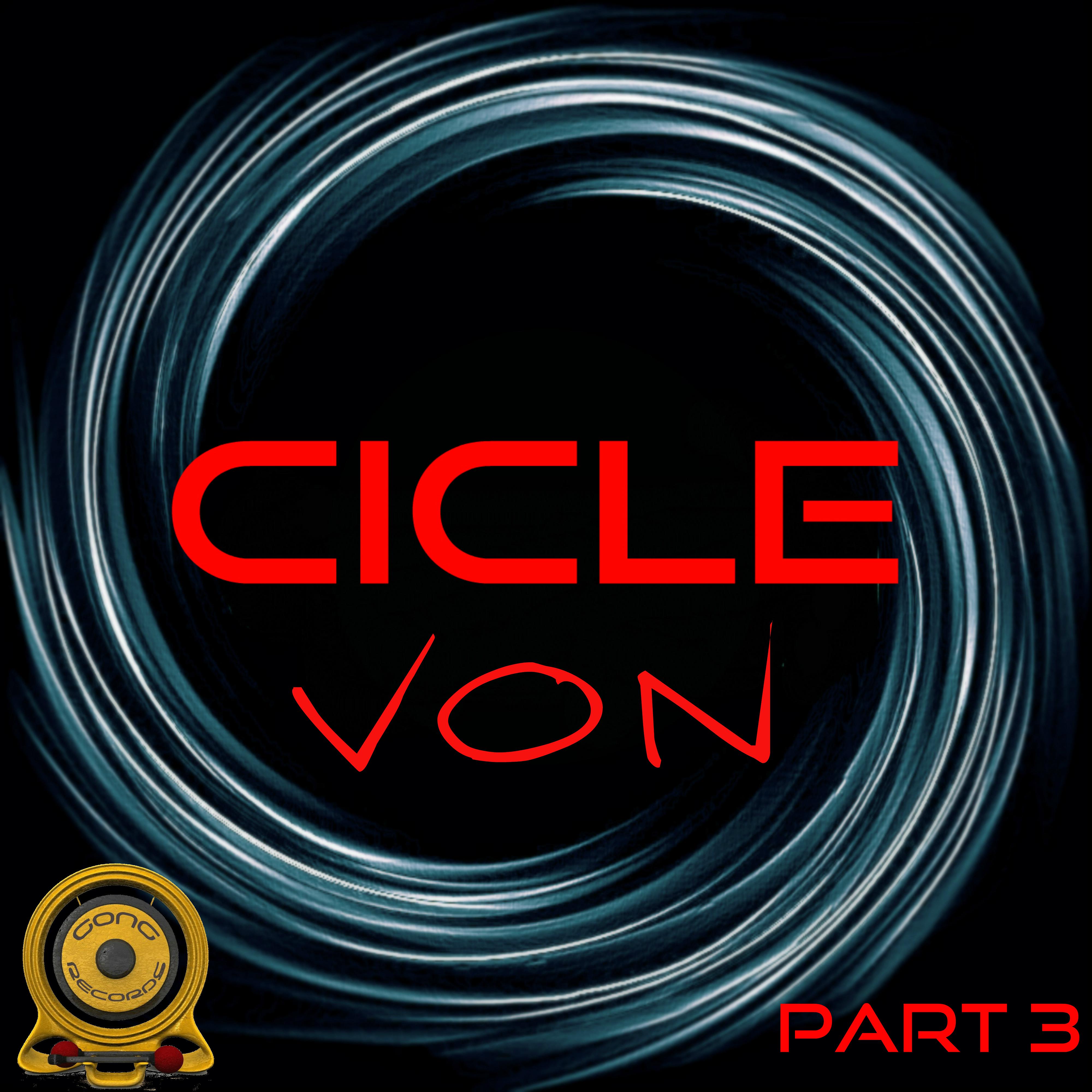 Cicle 11