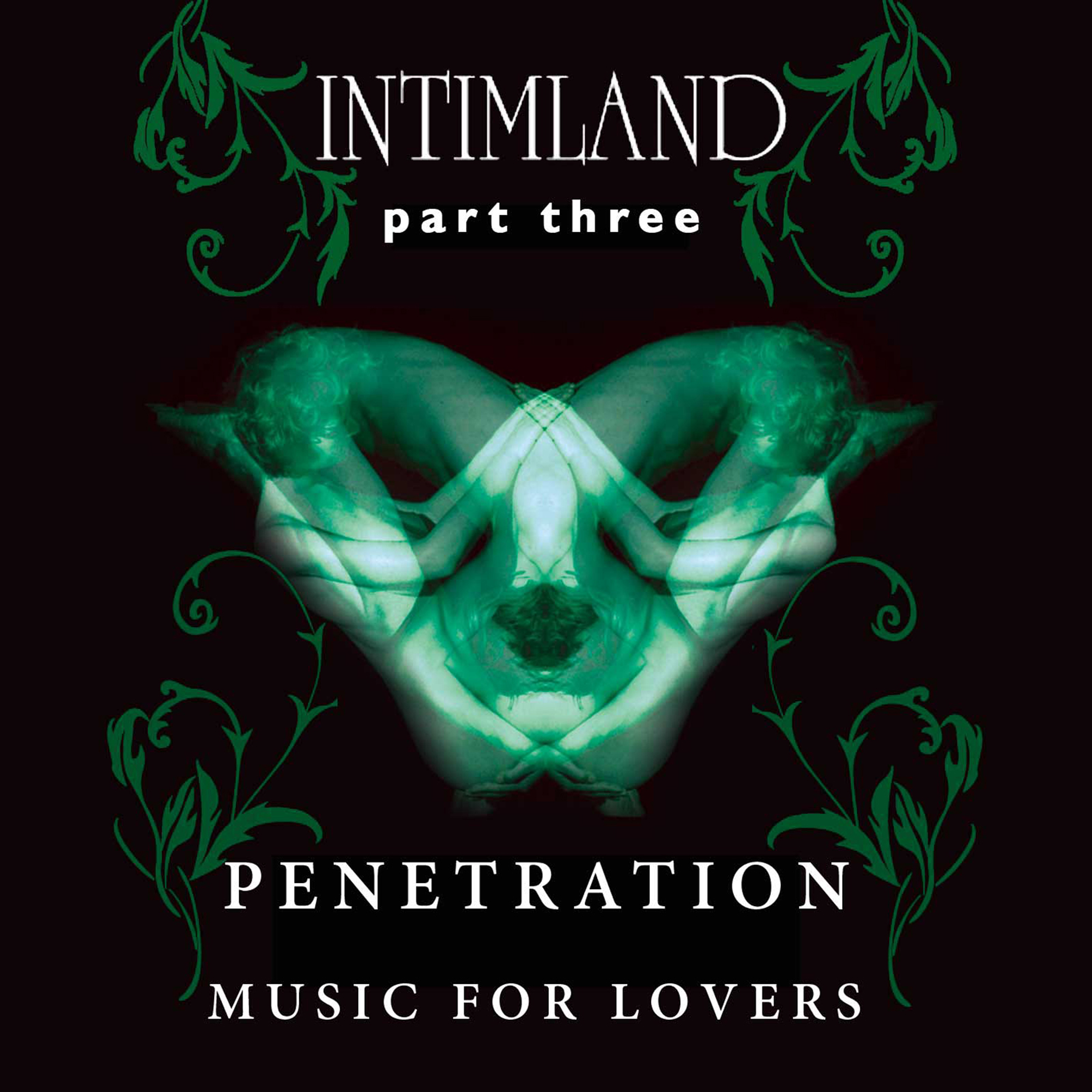 Intimland, Pt. 3 - Penetration (Music for Lovers)