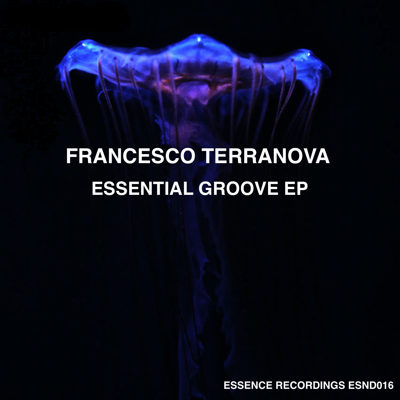 Essential Groove