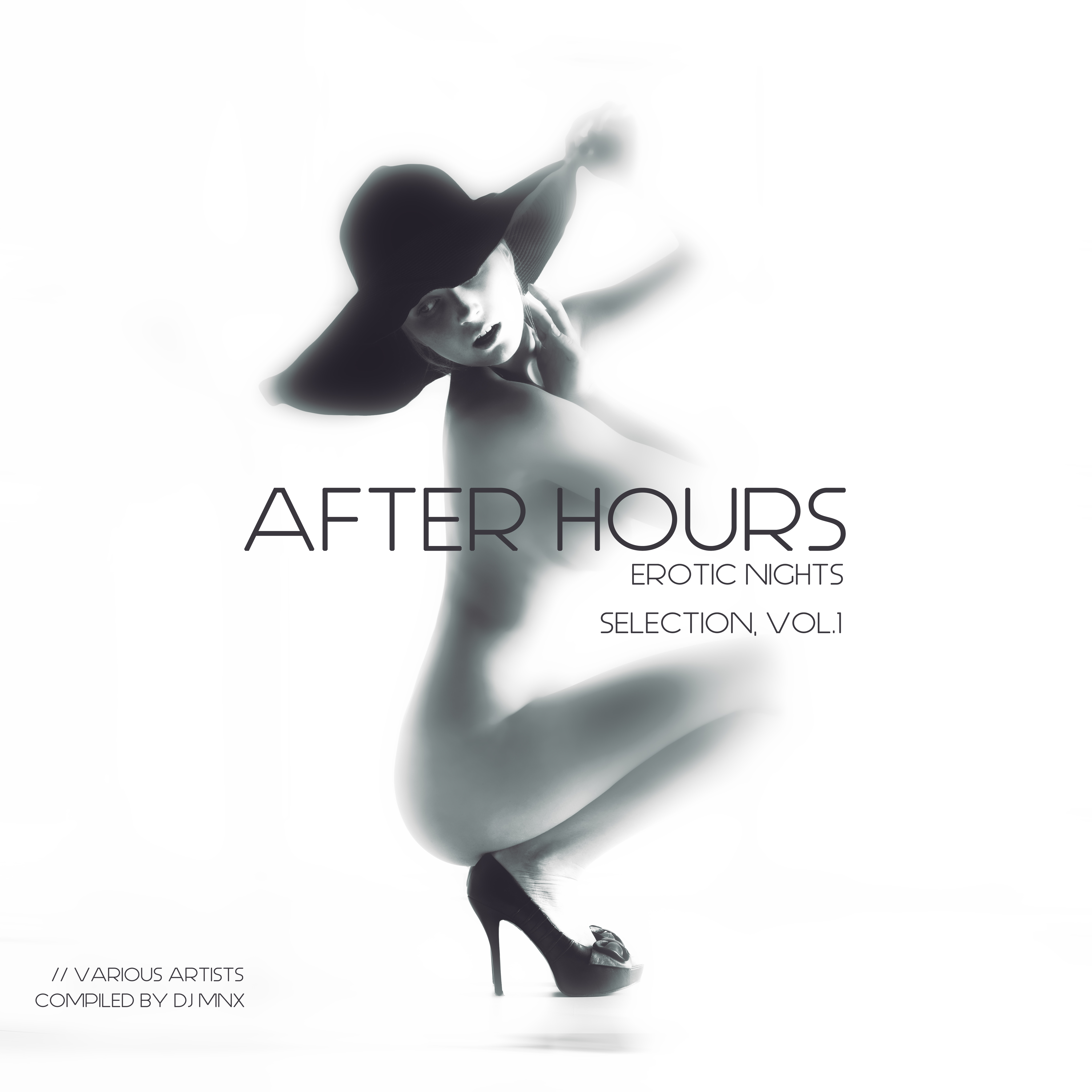 After Hours (Erotic Nights Selection, Vol. 1)