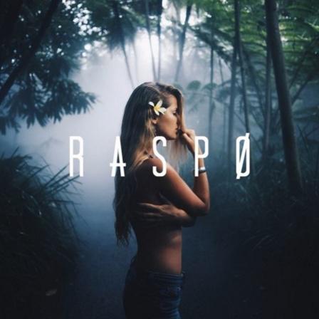 Slow Hands (Raspo Remix)