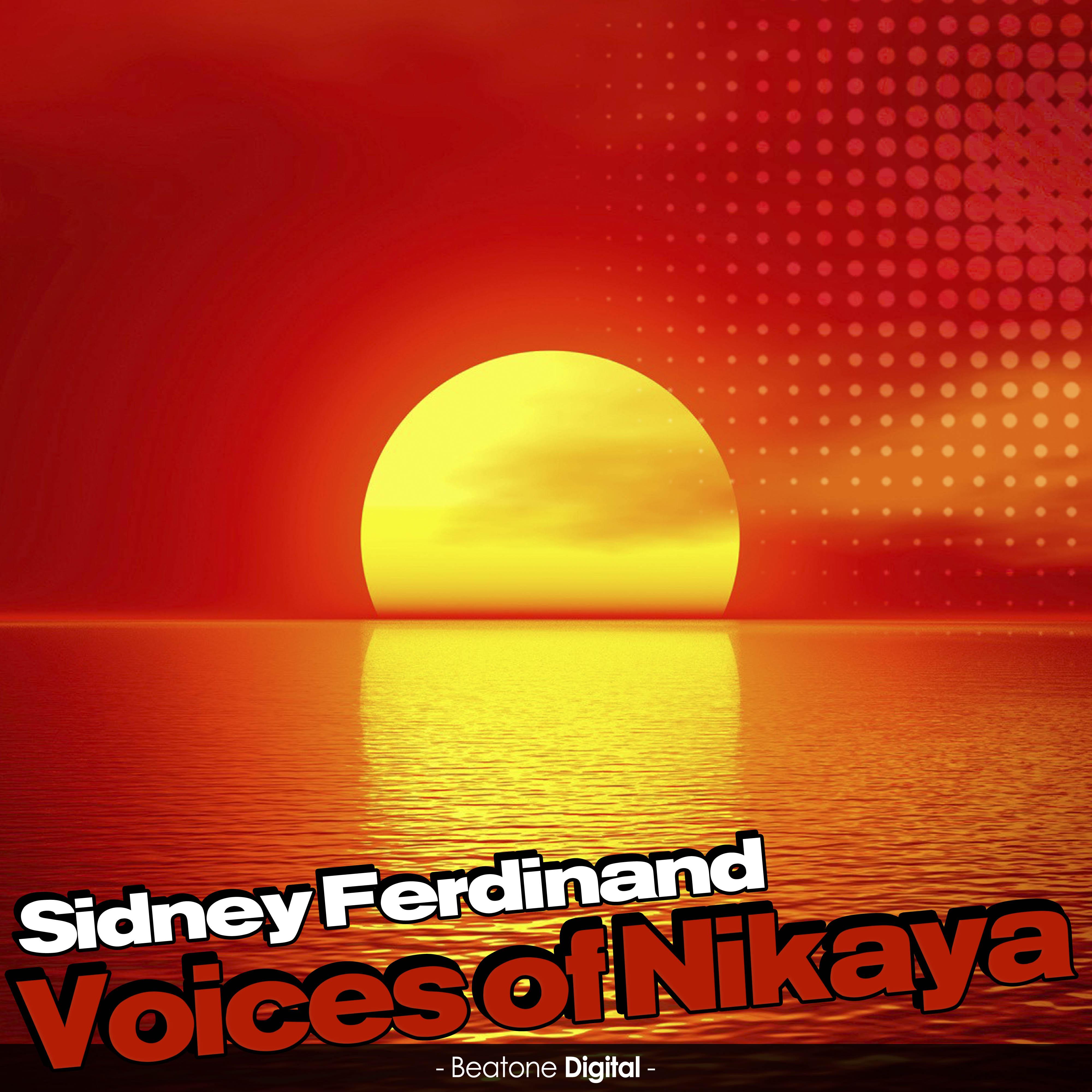 Voices of Nikaya (Charlz Re-Deep Mix)