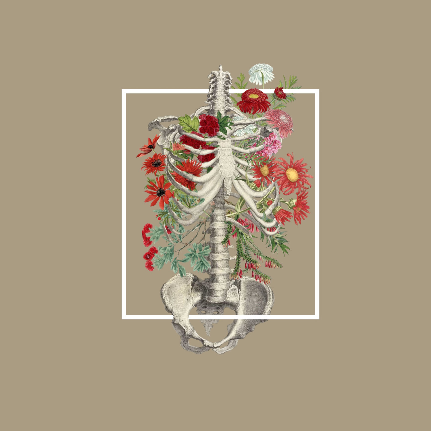 Floral Bones