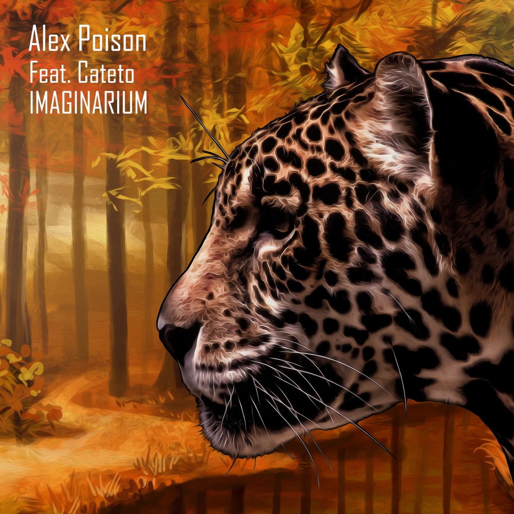 Imaginarium