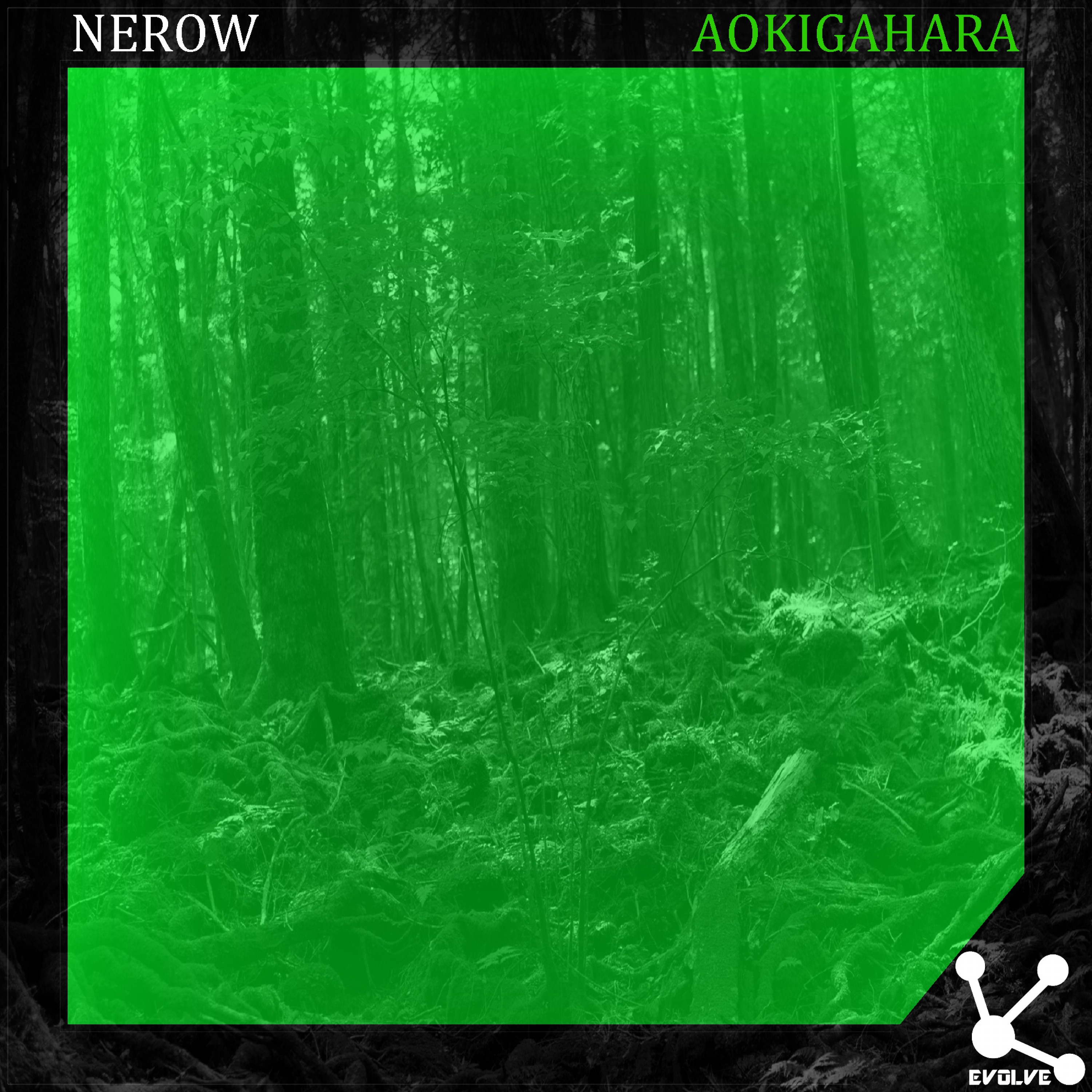 Aokigahara