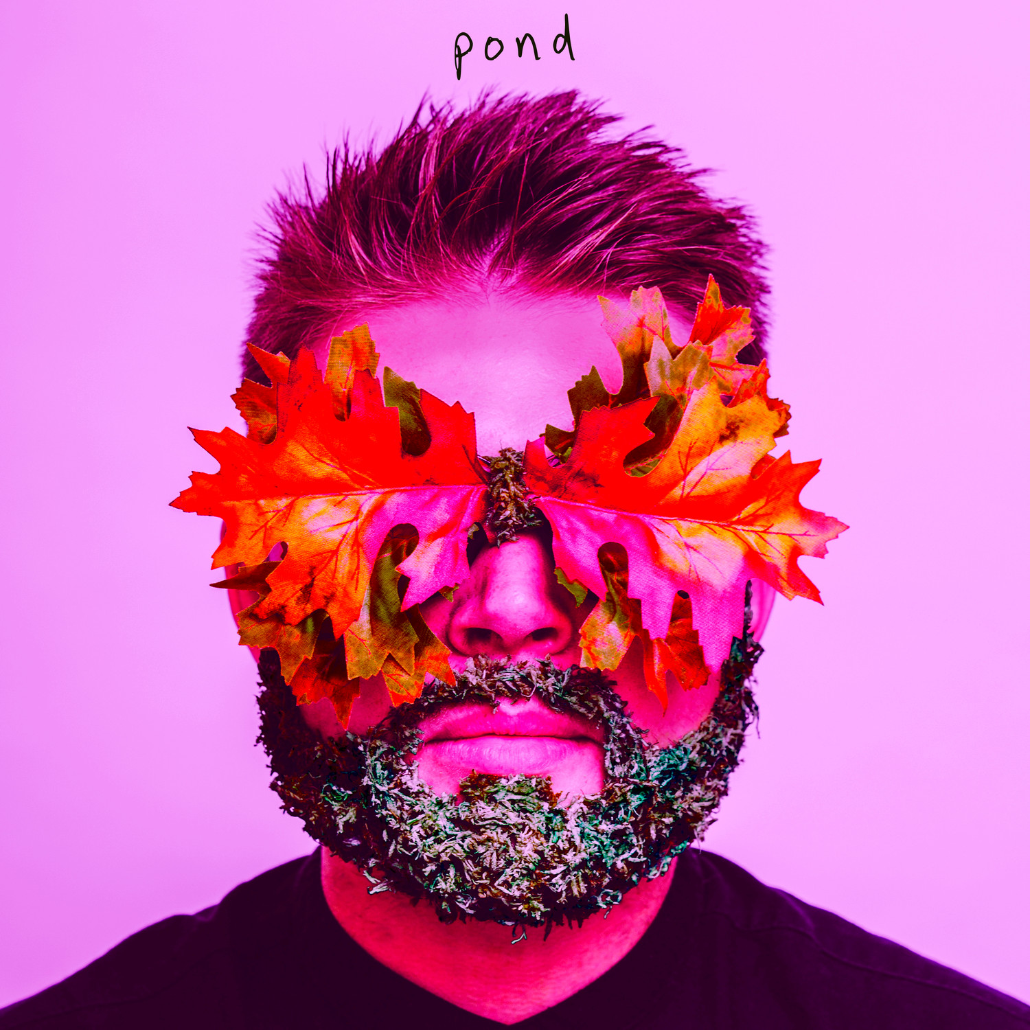 Pond