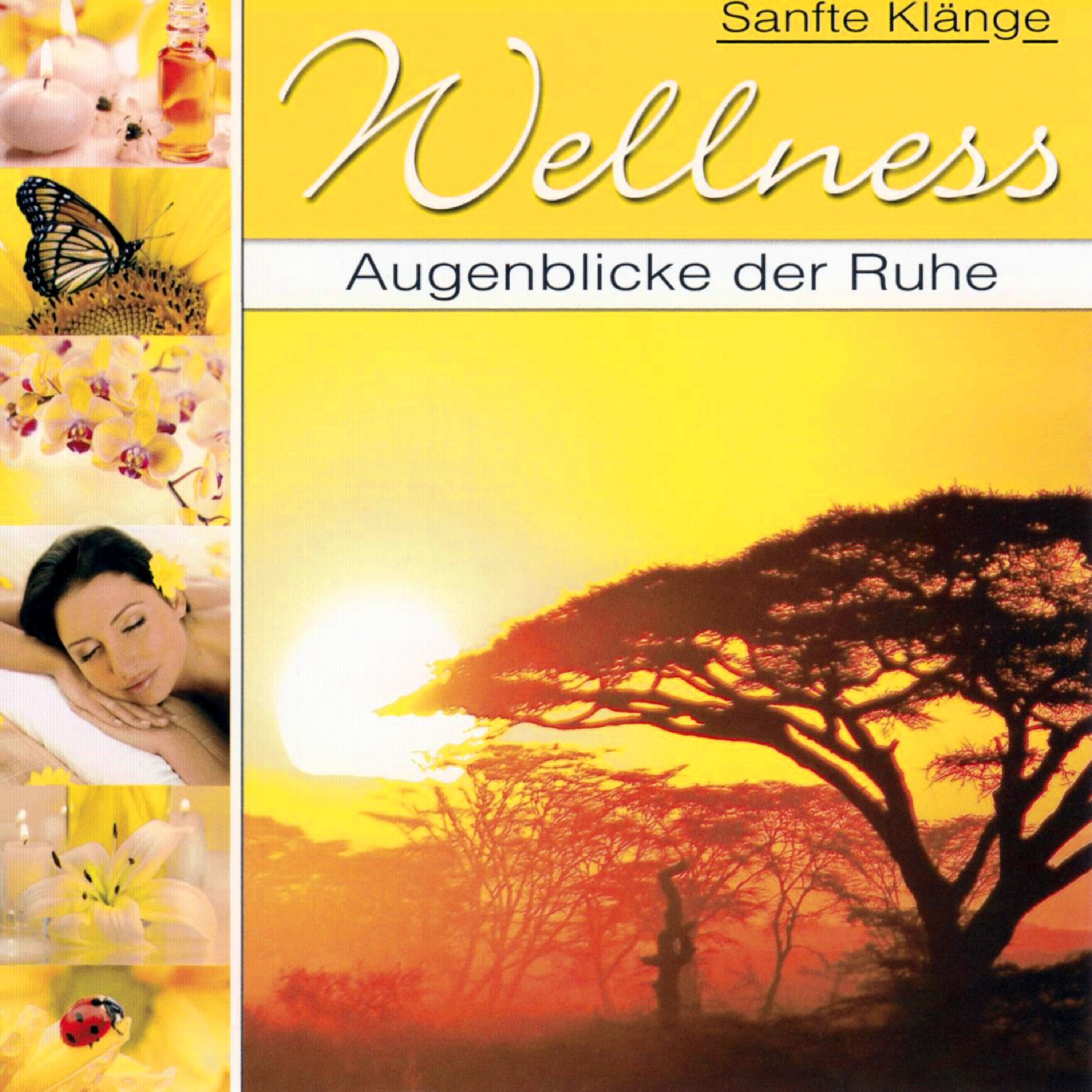 Wellness - Augenblicke der Ruhe