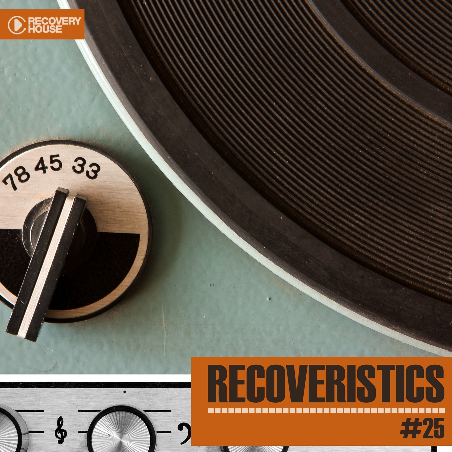 Recoveristics #25