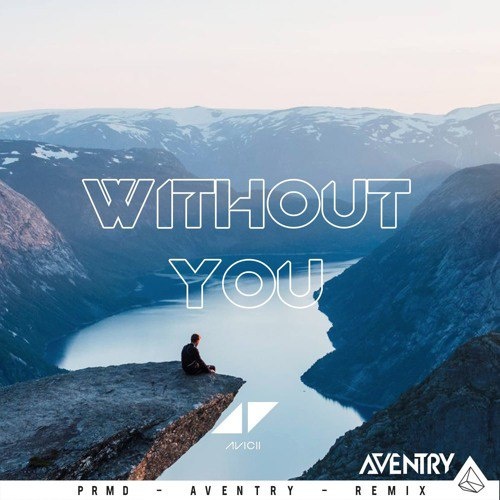 Without You (Aventry Remix)