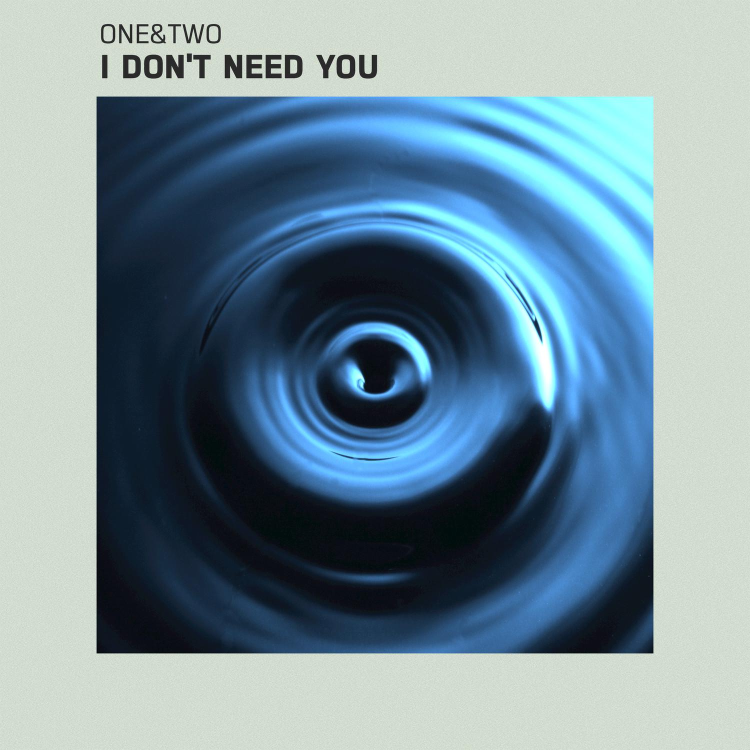 I Don't Need You