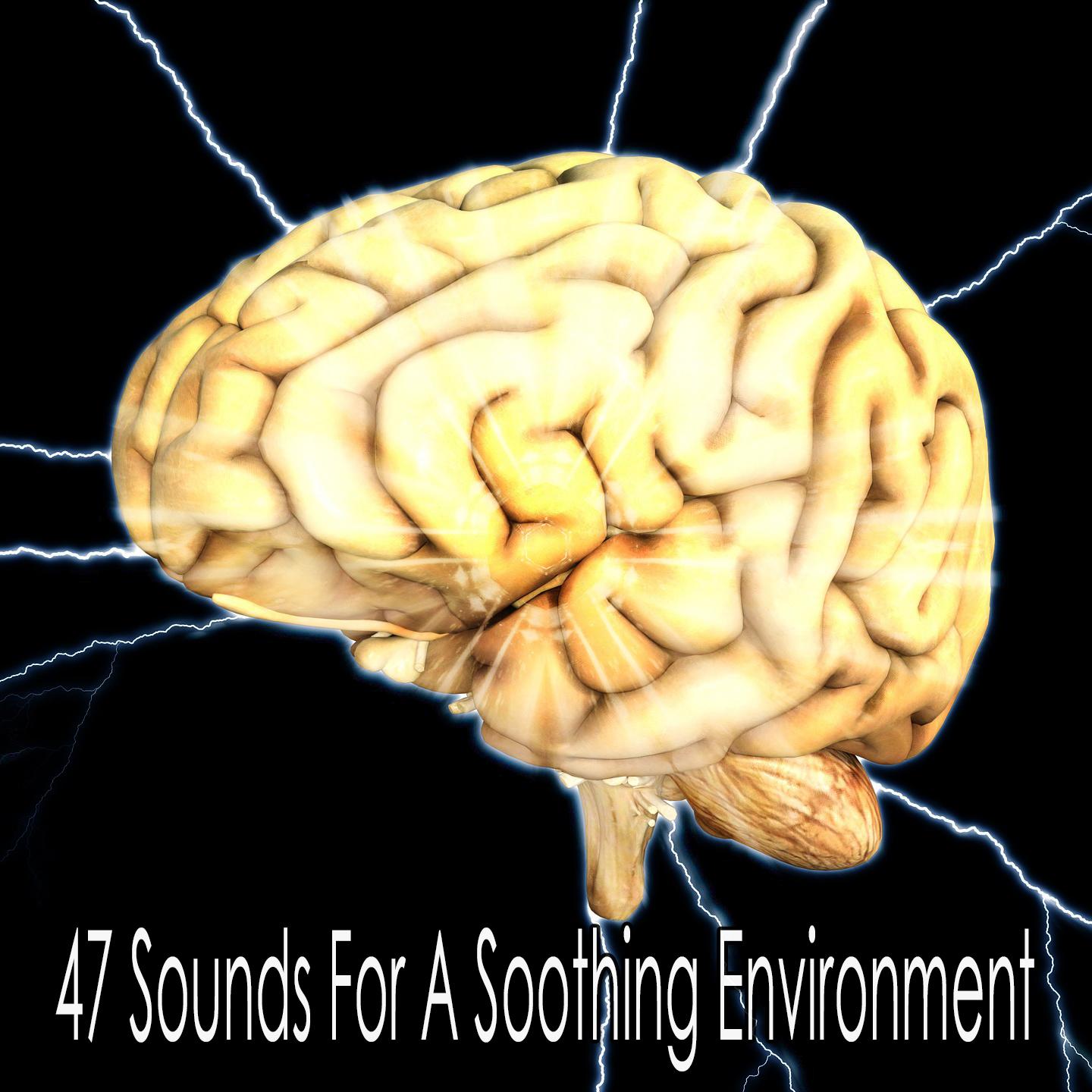 47 Sounds For A Soothing Environment