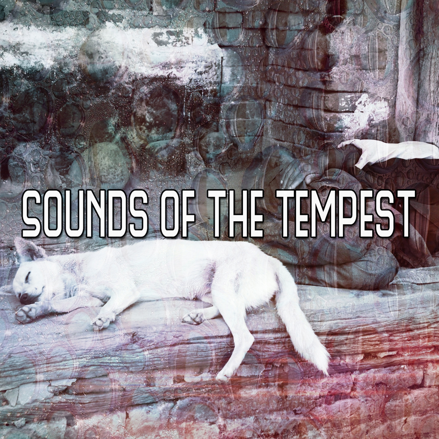 Sounds Of The Tempest