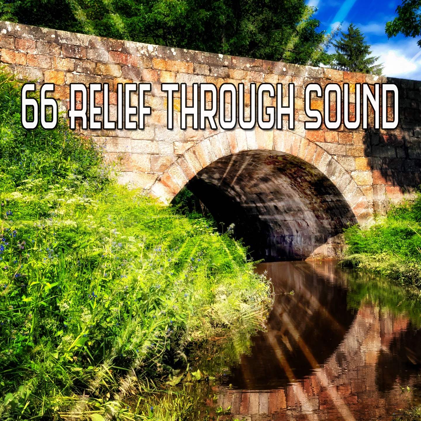 66 Relief Through Sound
