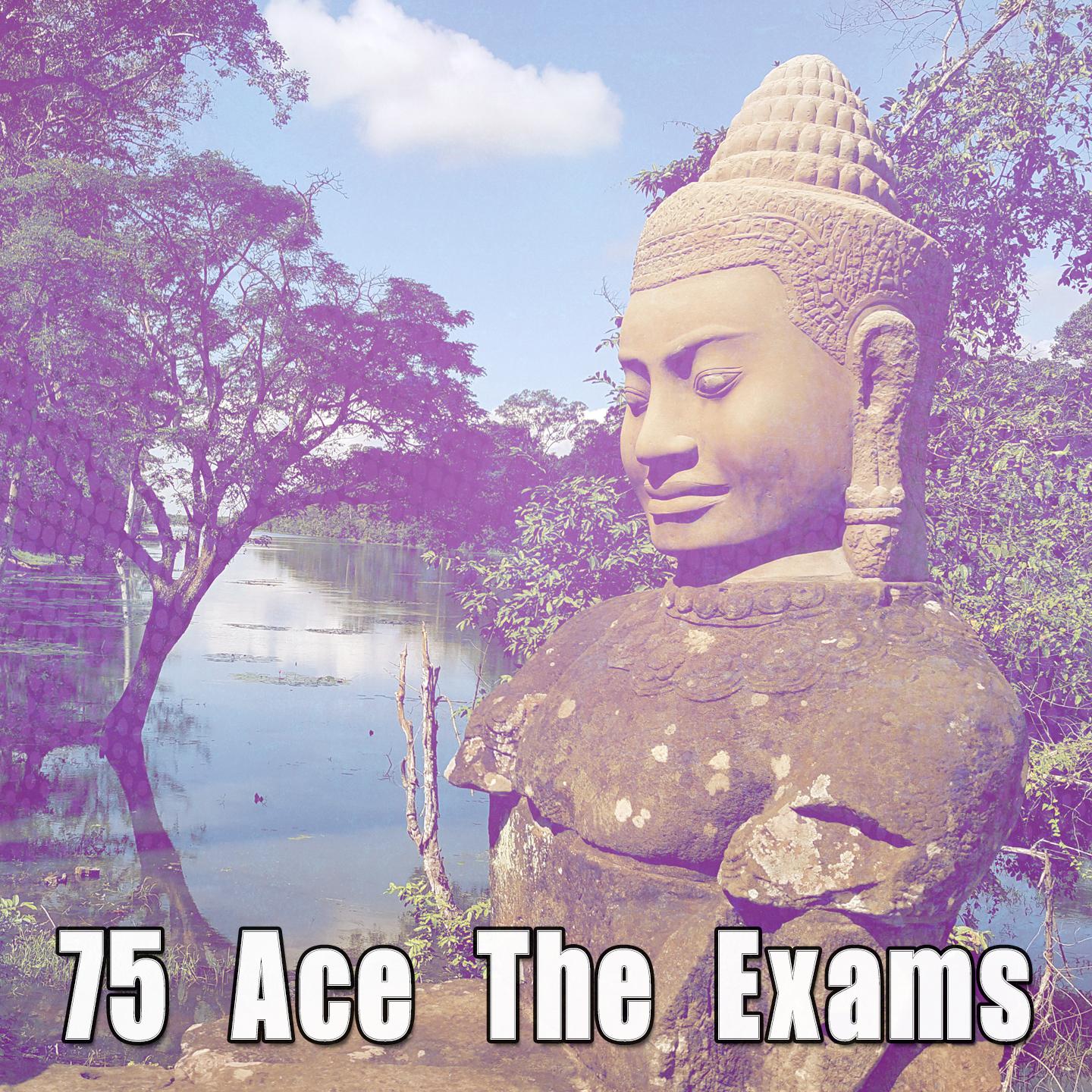 75 Ace The Exams