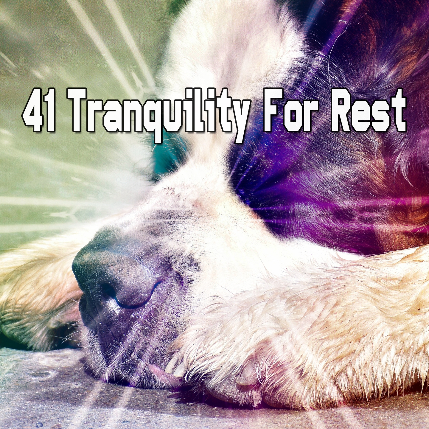 41 Tranquility For Rest