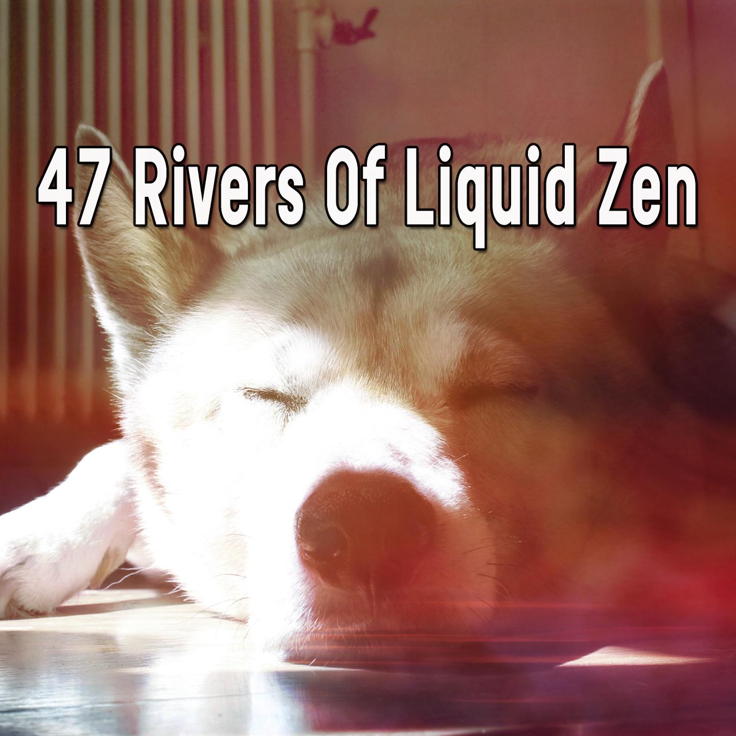 47 Rivers Of Liquid Zen