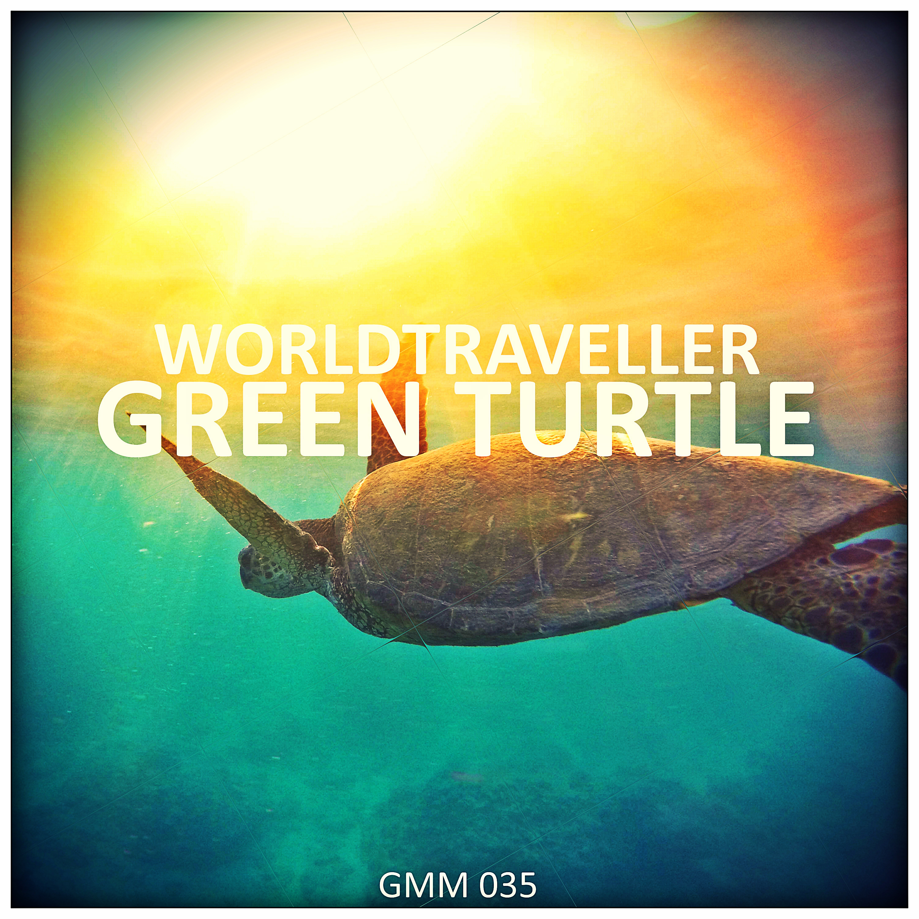 Green Turtle (Underwater Mix)
