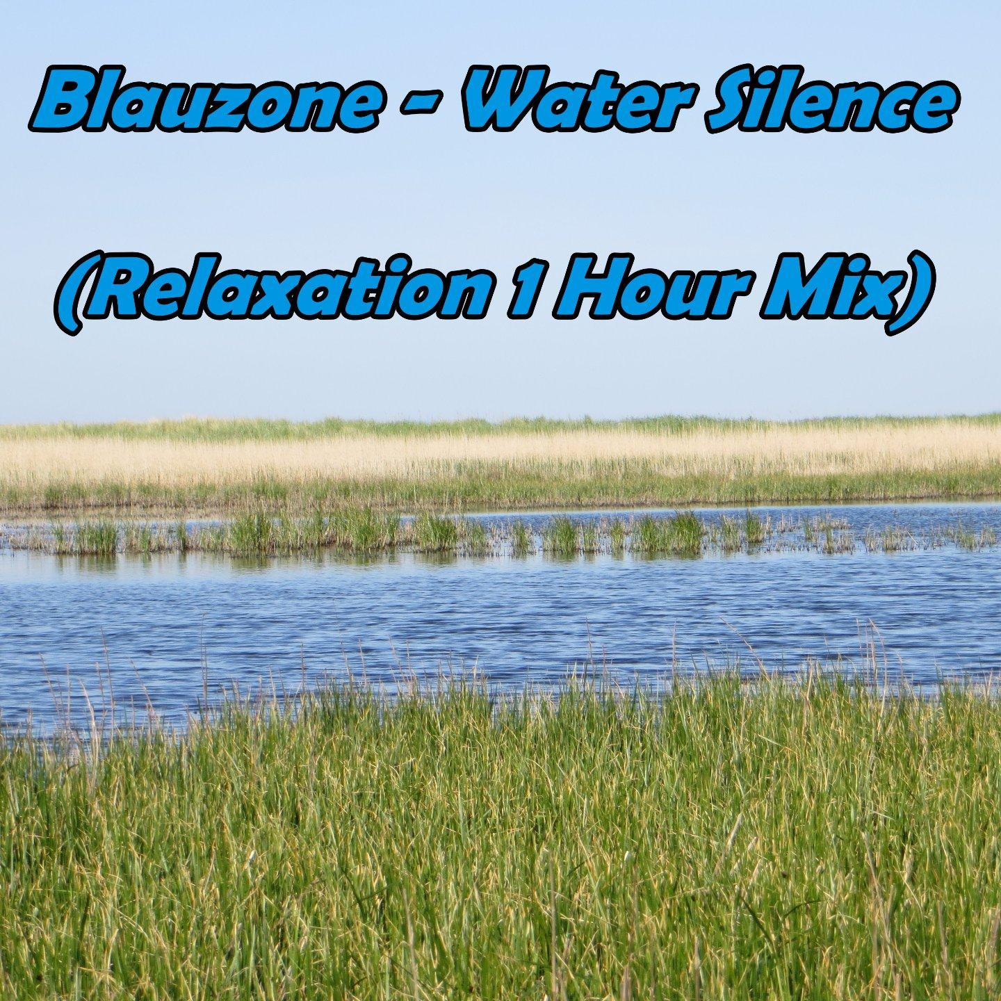 Water Silence (Relaxation 1 Hour Mix)