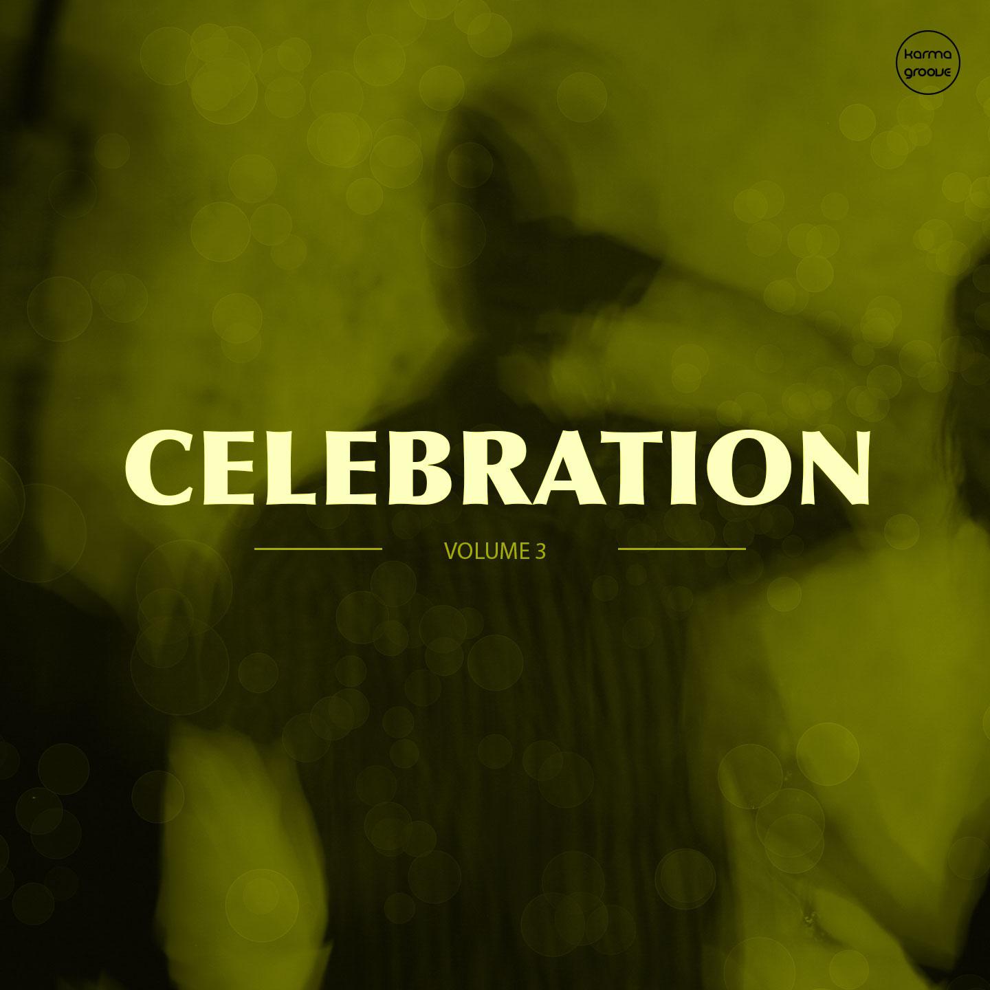 Celebration, Vol. 3 (Best of Funk House Beats)