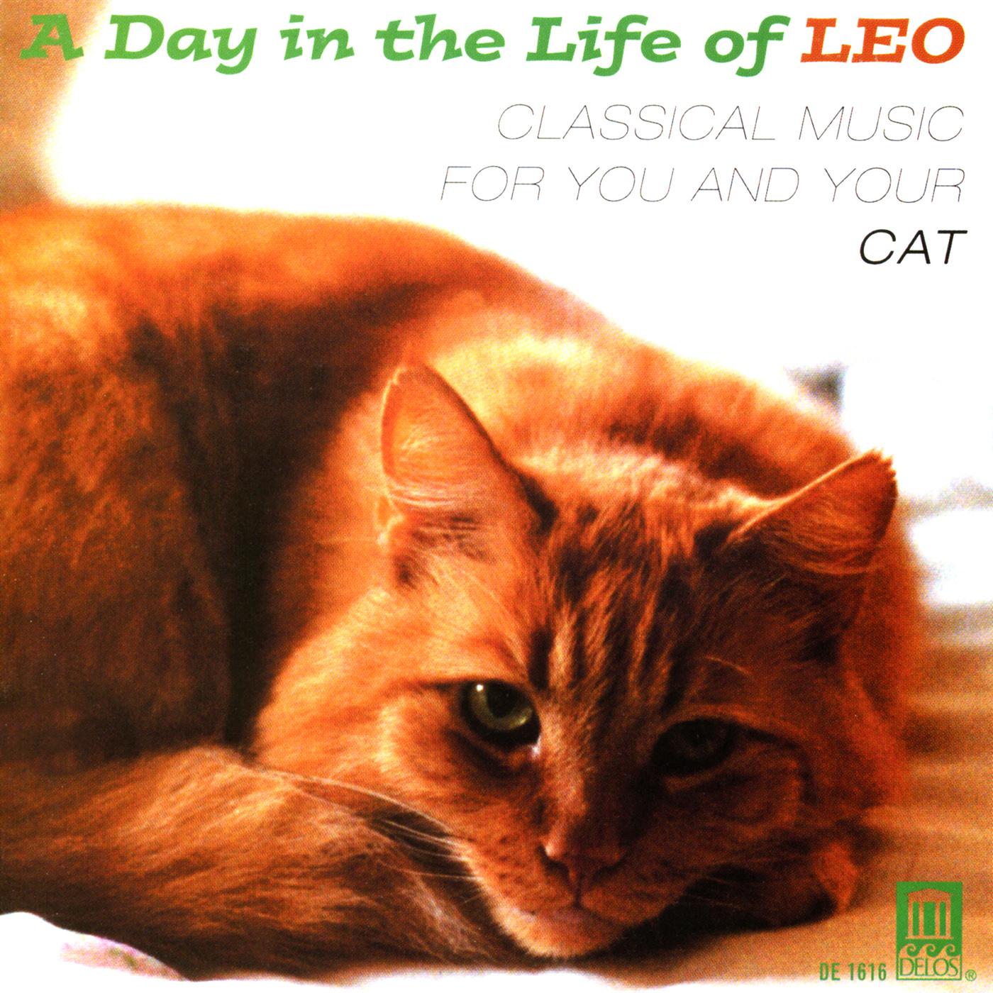 DAY IN THE LIFE OF LEO (A) - Classical Music for You and Your Cat