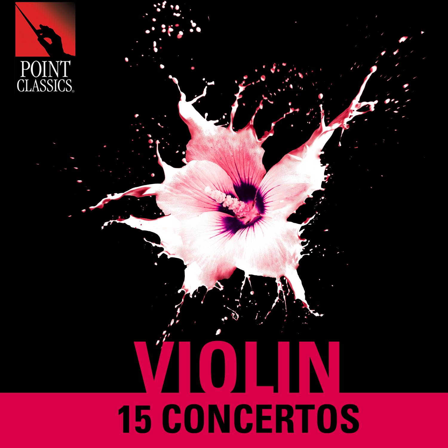 Violin Concerto No. 2 in G Minor, Op. 63: II. Andante Assai