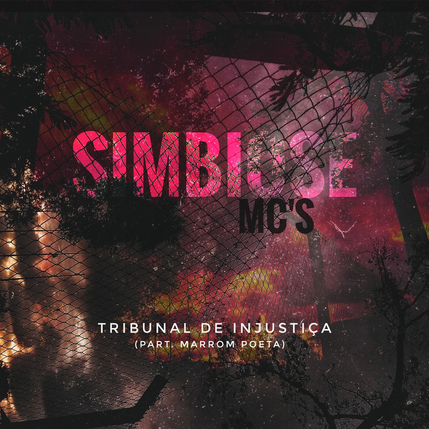 Tribunal de Injusti a