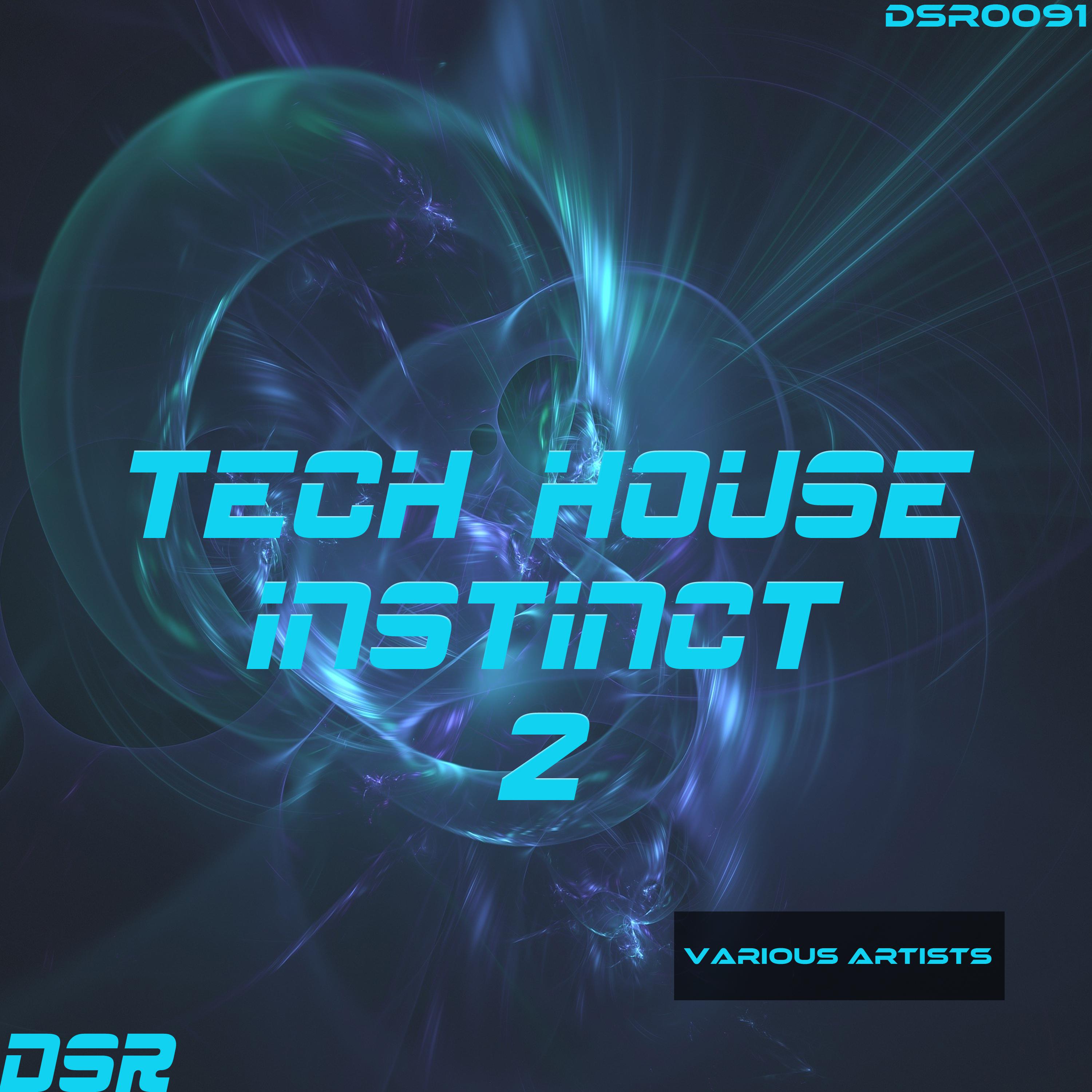 Tech House Instinct, Vol. 2