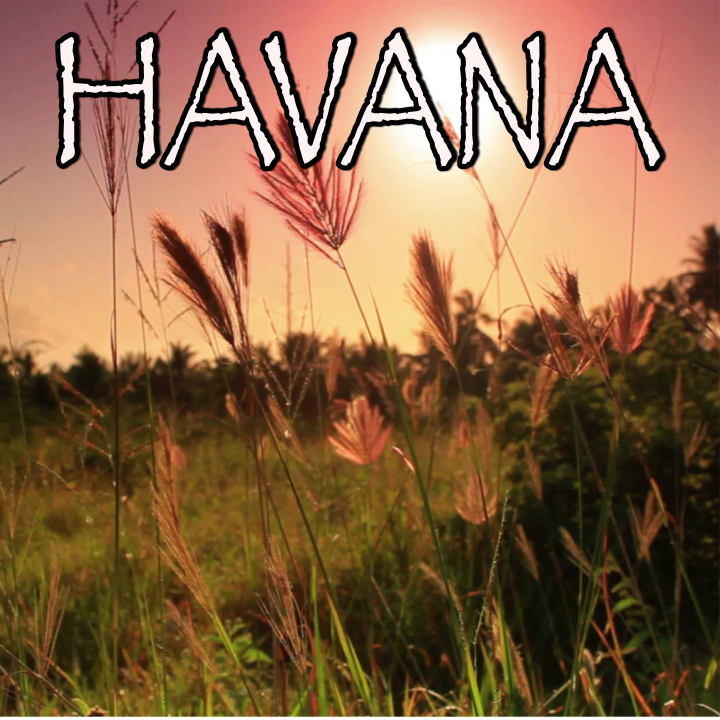 Havana - Tribute to Camila Cabello and Young Thug