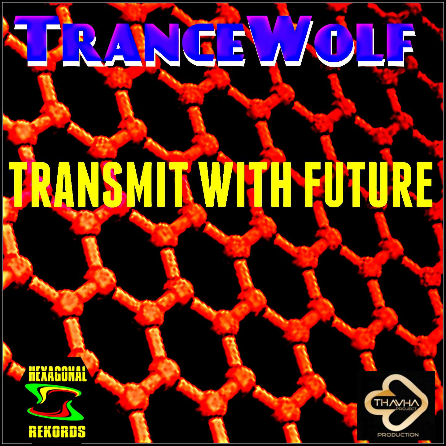 Transmit with Future (Thavha Project Version)