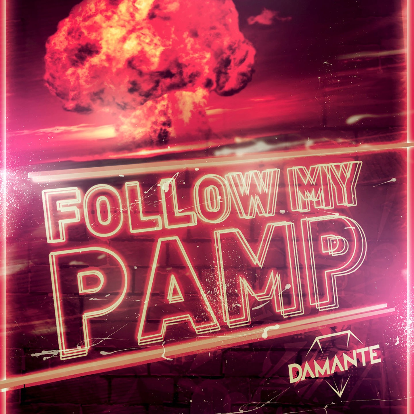Follow My Pamp (Extended)