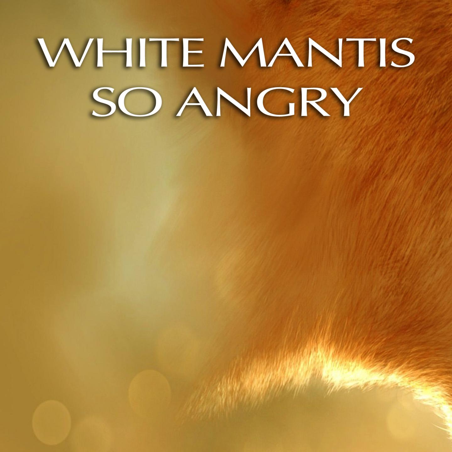 So Angry