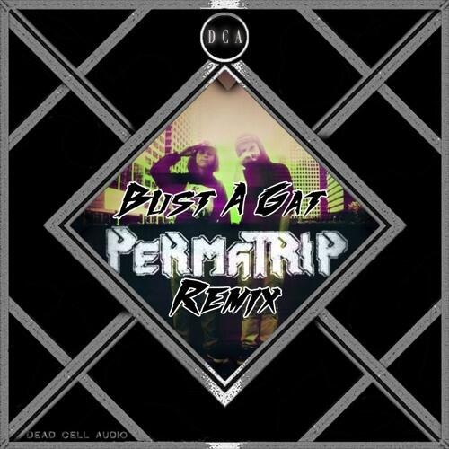 Bust A Gat (PermaTrip Remix)