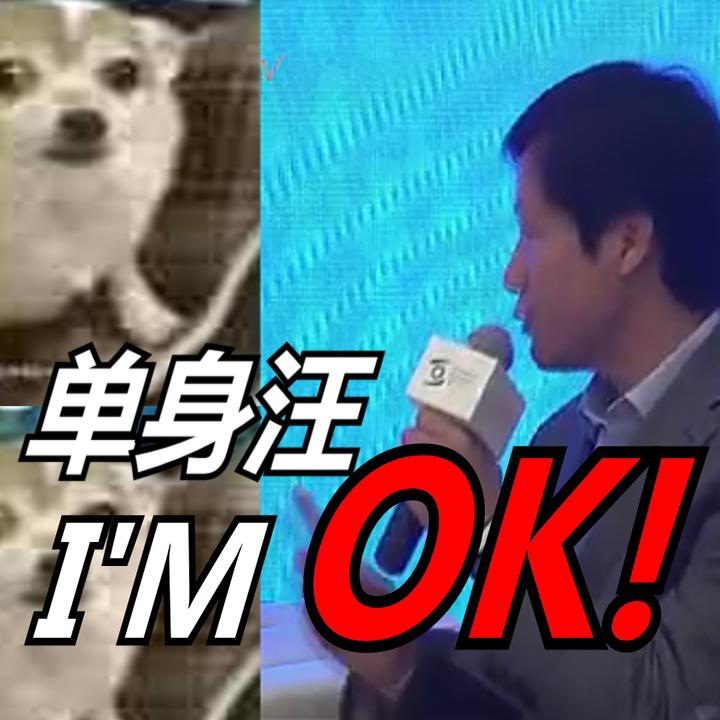 lei jun dan shen wang I' m  OK! Cover xin ku zi