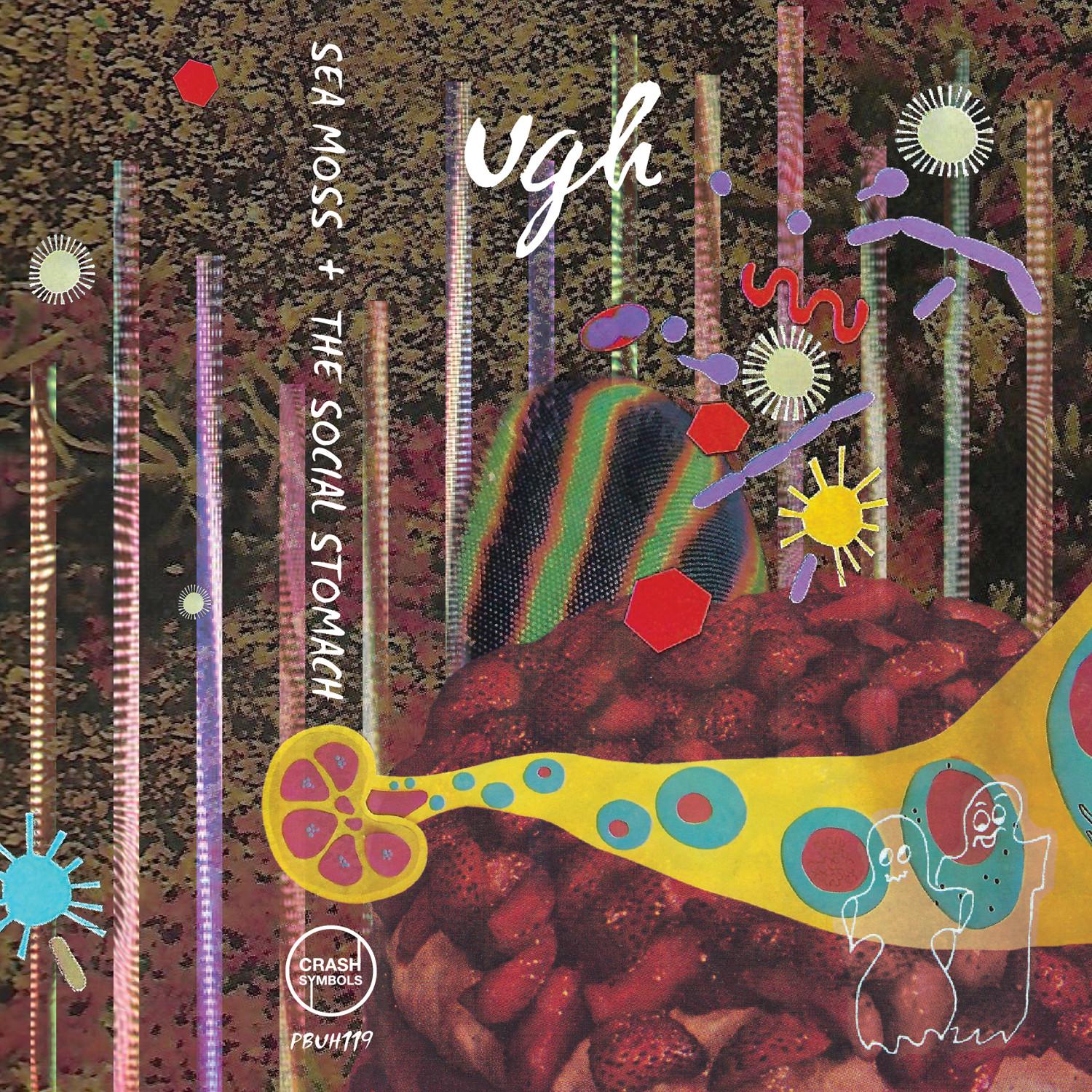 Single Pole Single Throw