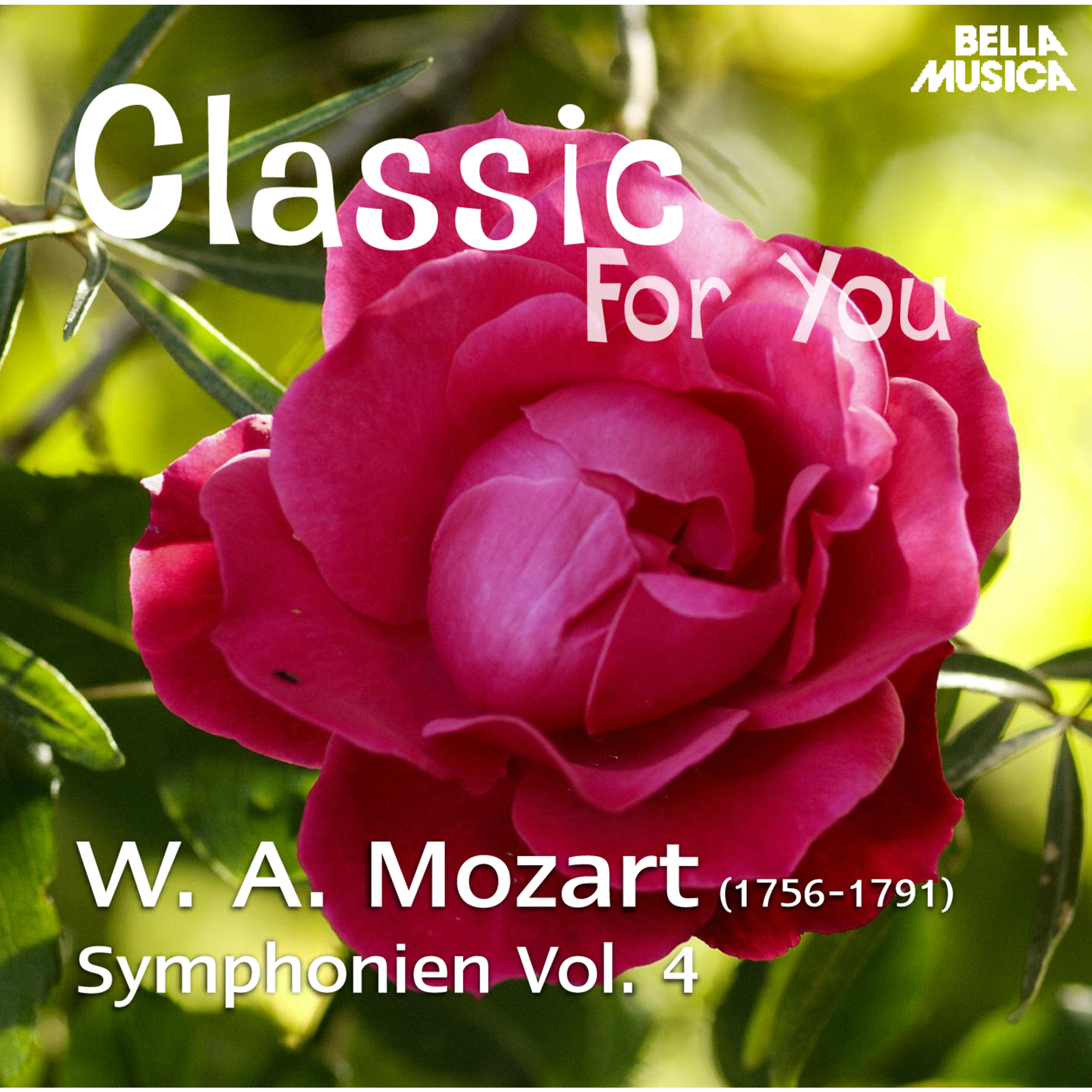 Symphonie in F Major, K. 130, No. 18: IV. Molto allegro