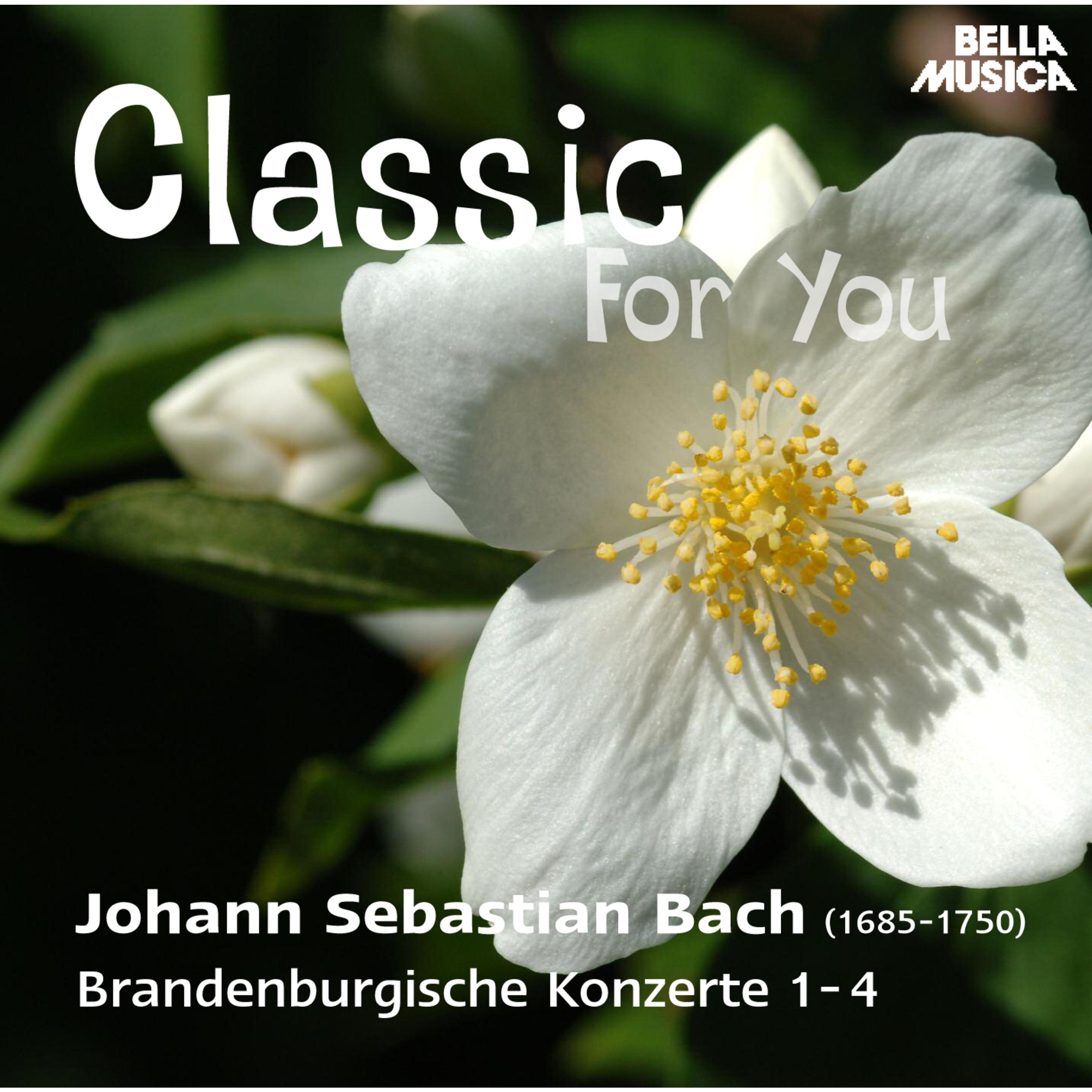 Brandenburgisches Konzert in G Major, BWV 1049, No. 4: III. Presto