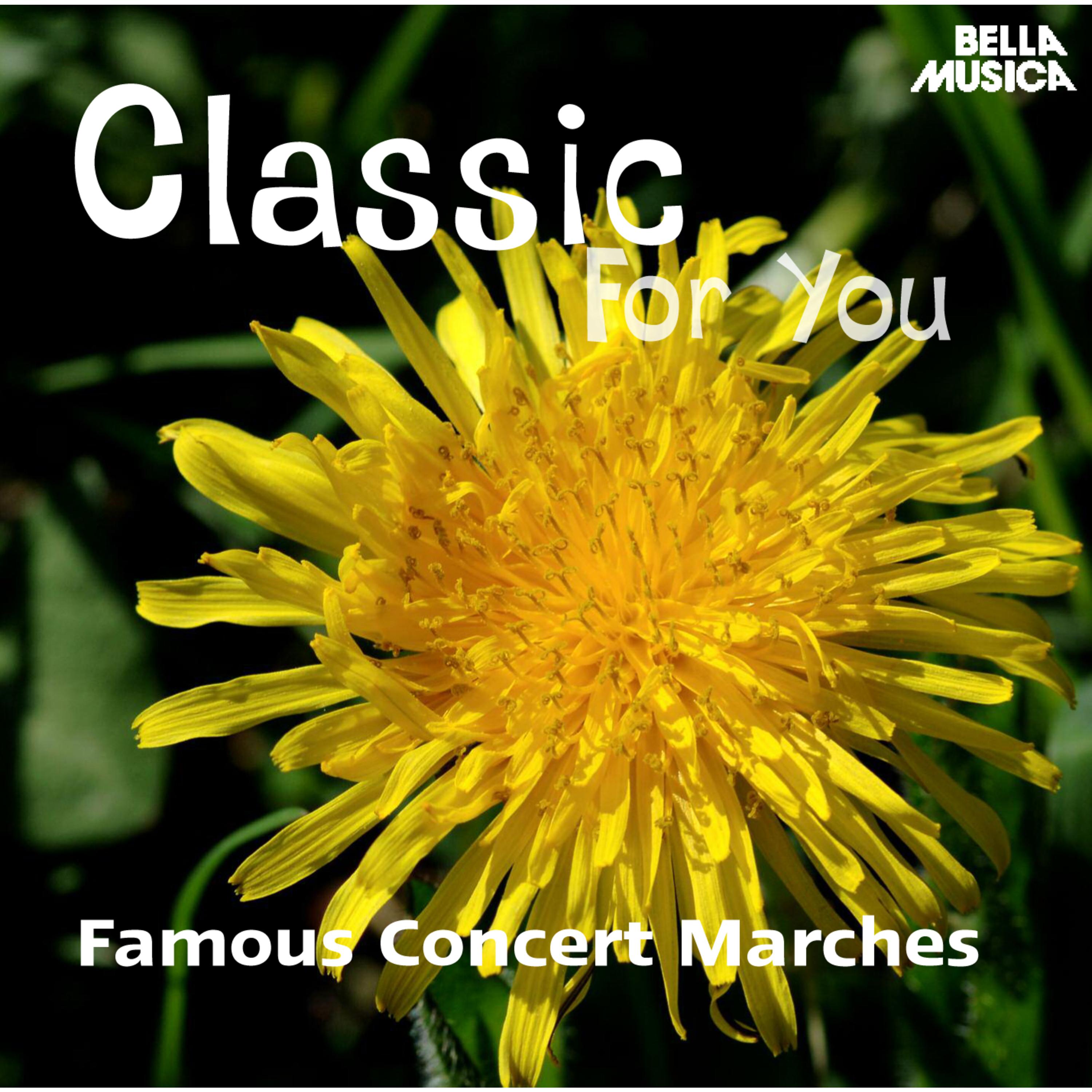 Marsch fü r Orchester in C Major, K. 214
