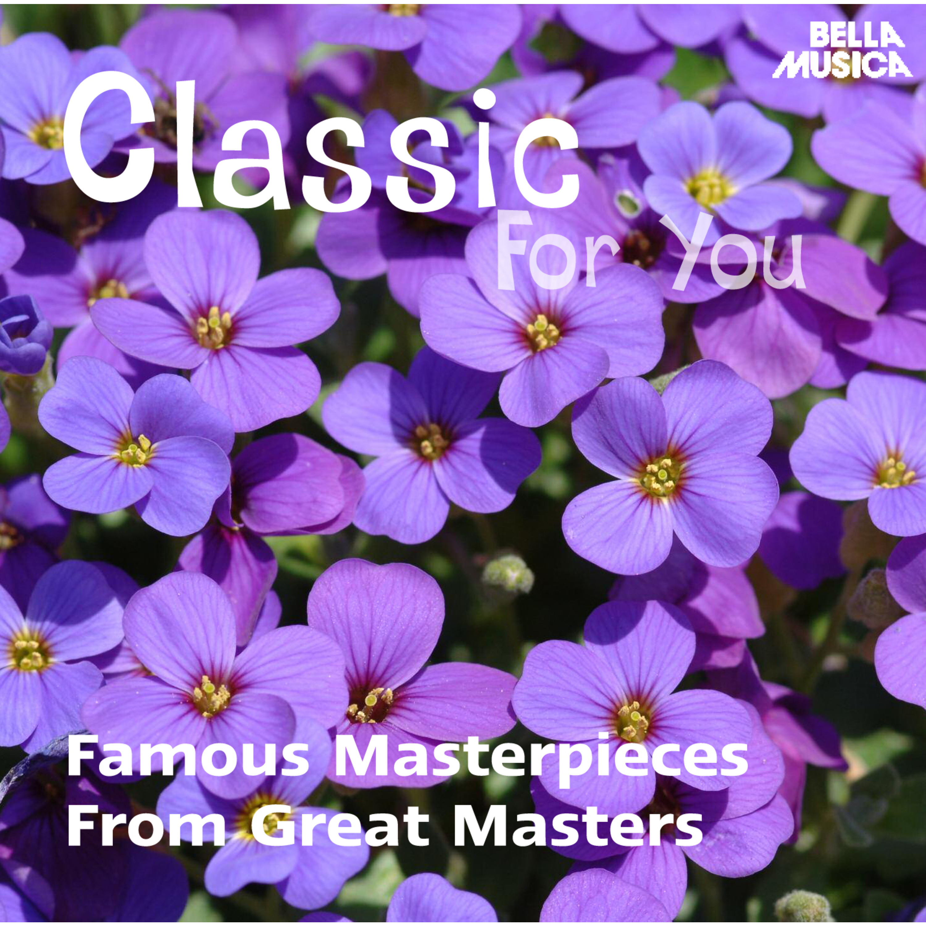 Classic for You: Famous Masterpieces from Great Masters