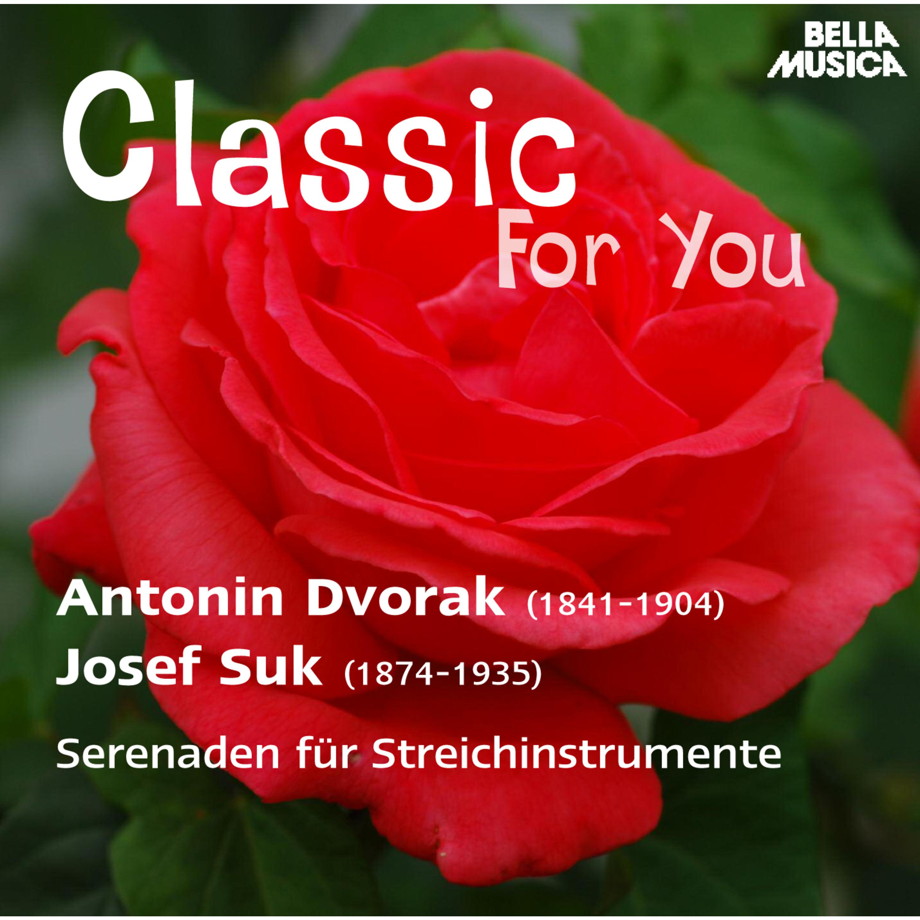 Serenade fü r Streichinstrumente in E Major, Op. 22: V. Finale Allegro vivace